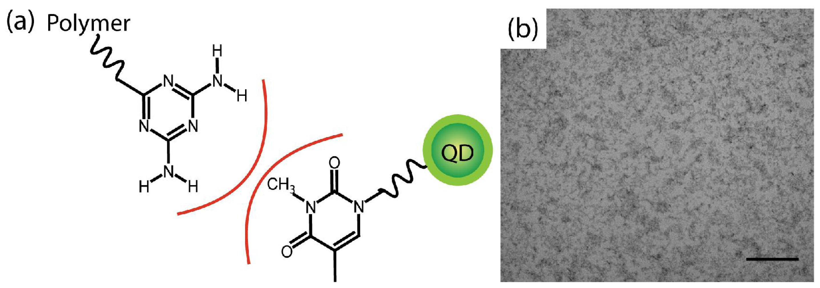 Ijms 12 06357f4 1024