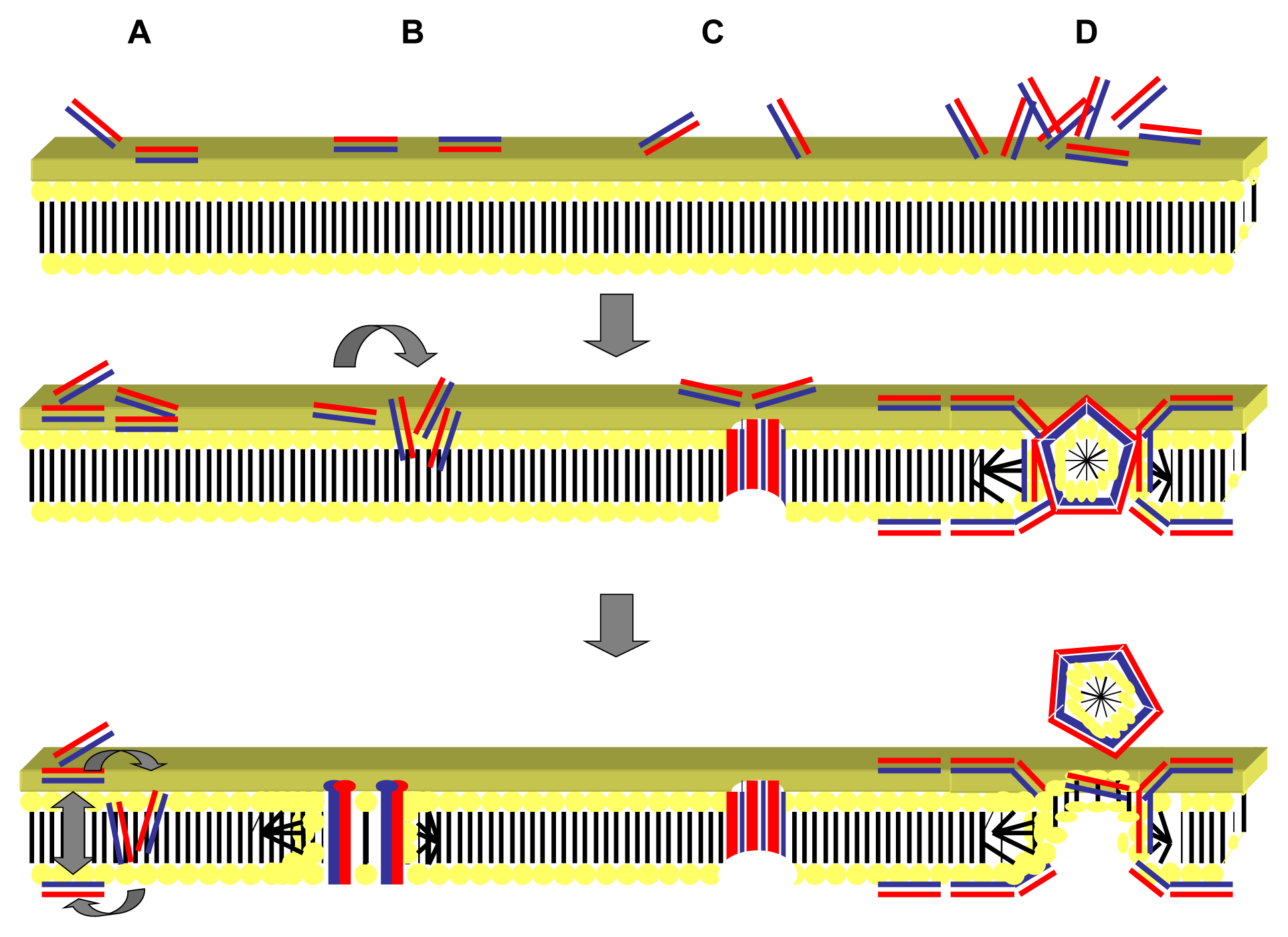 Ijms 12 06566f2 1024