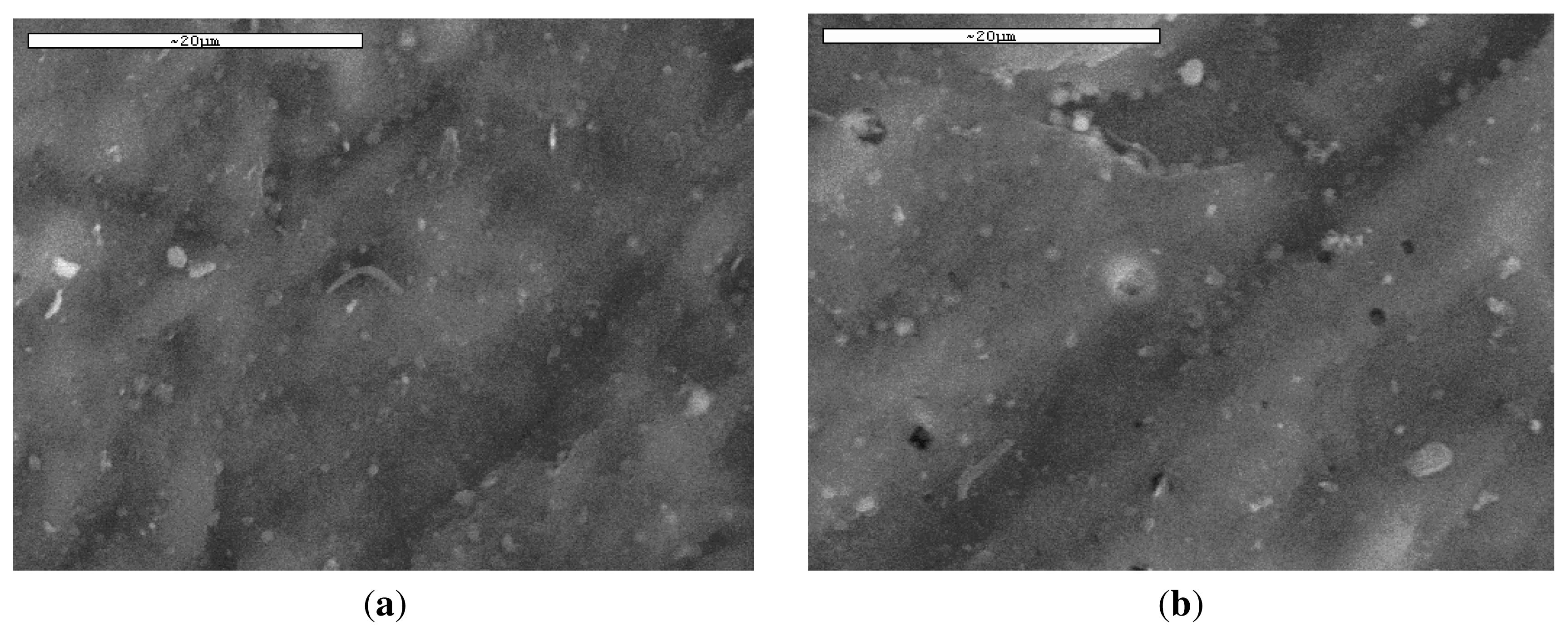 Ijms 12 06597f9a