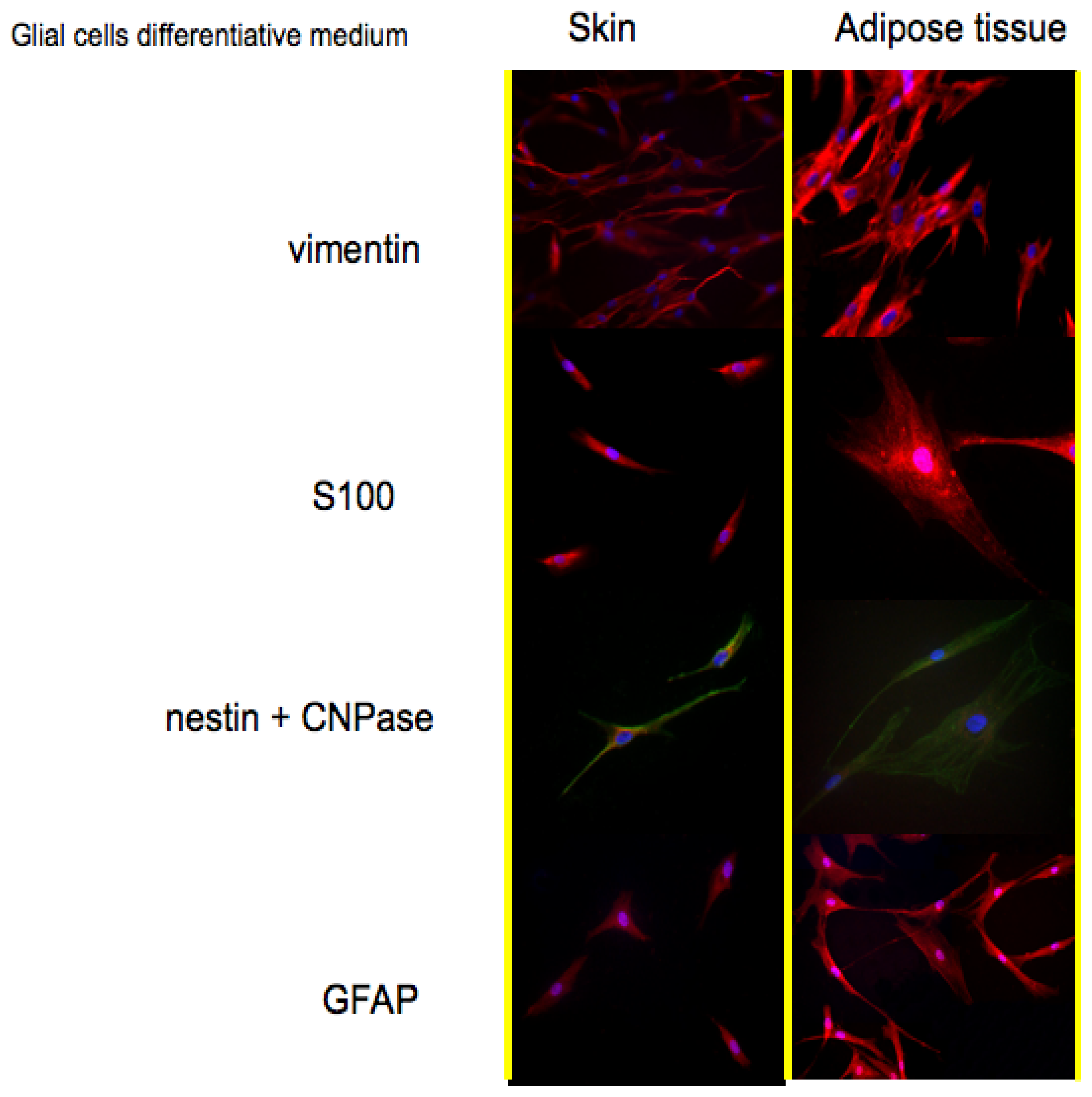 Ijms 12 06749f3 1024