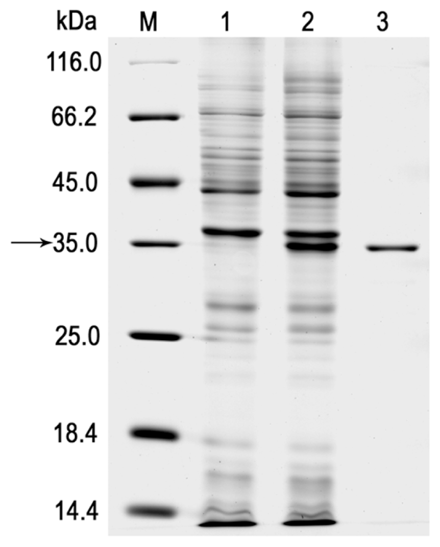 Ijms 12 06765f2 1024