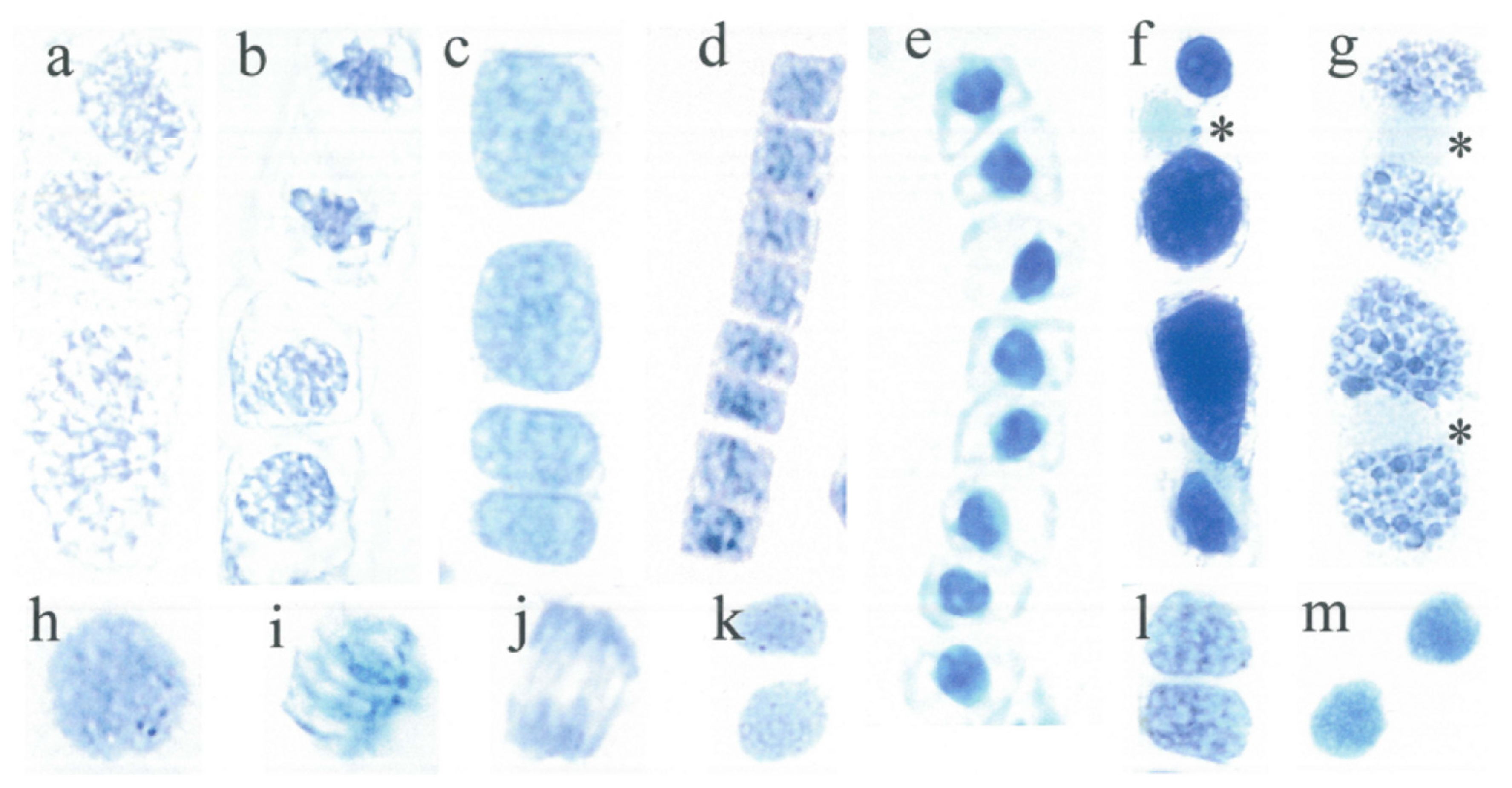 Ijms 12 06834f1a 1024