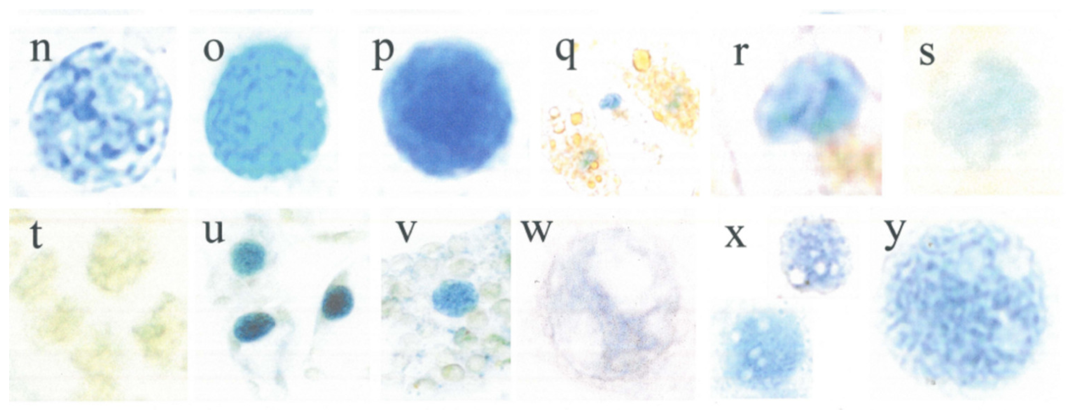 Ijms 12 06834f1b 1024