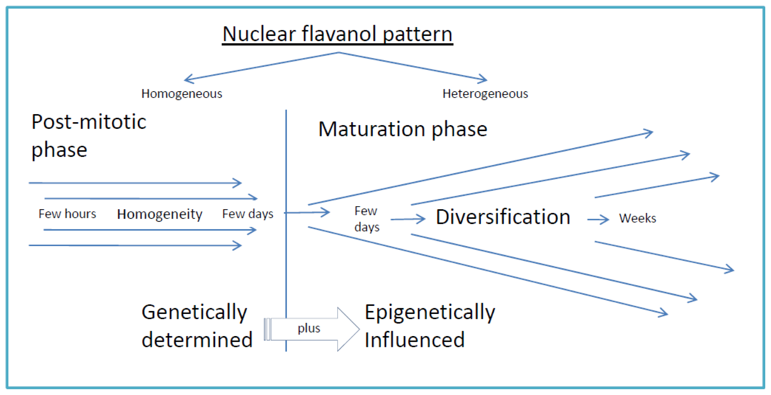 Ijms 12 06834f4 1024