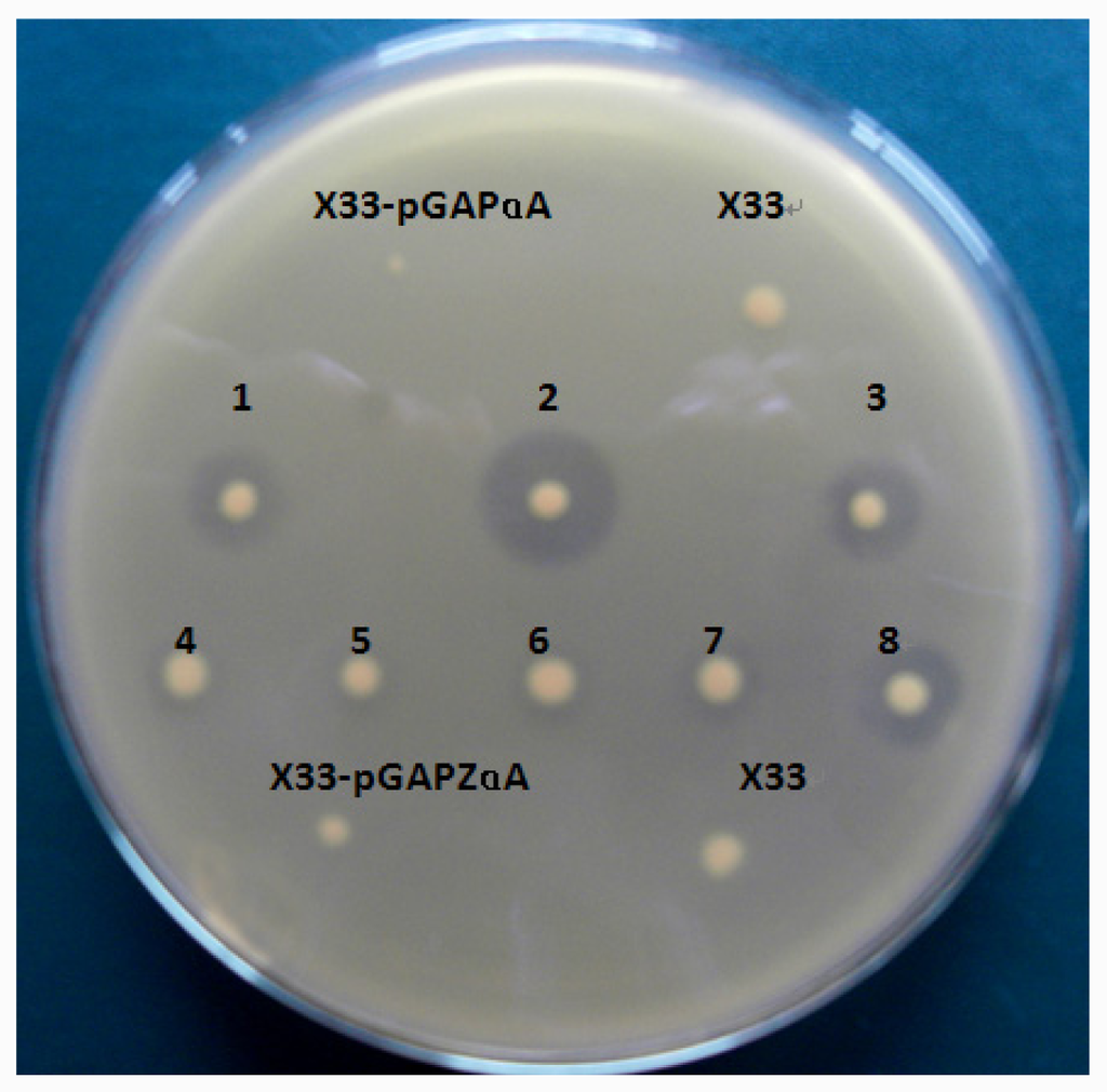 IJMS Free FullText Optimal Production and Biochemical Properties