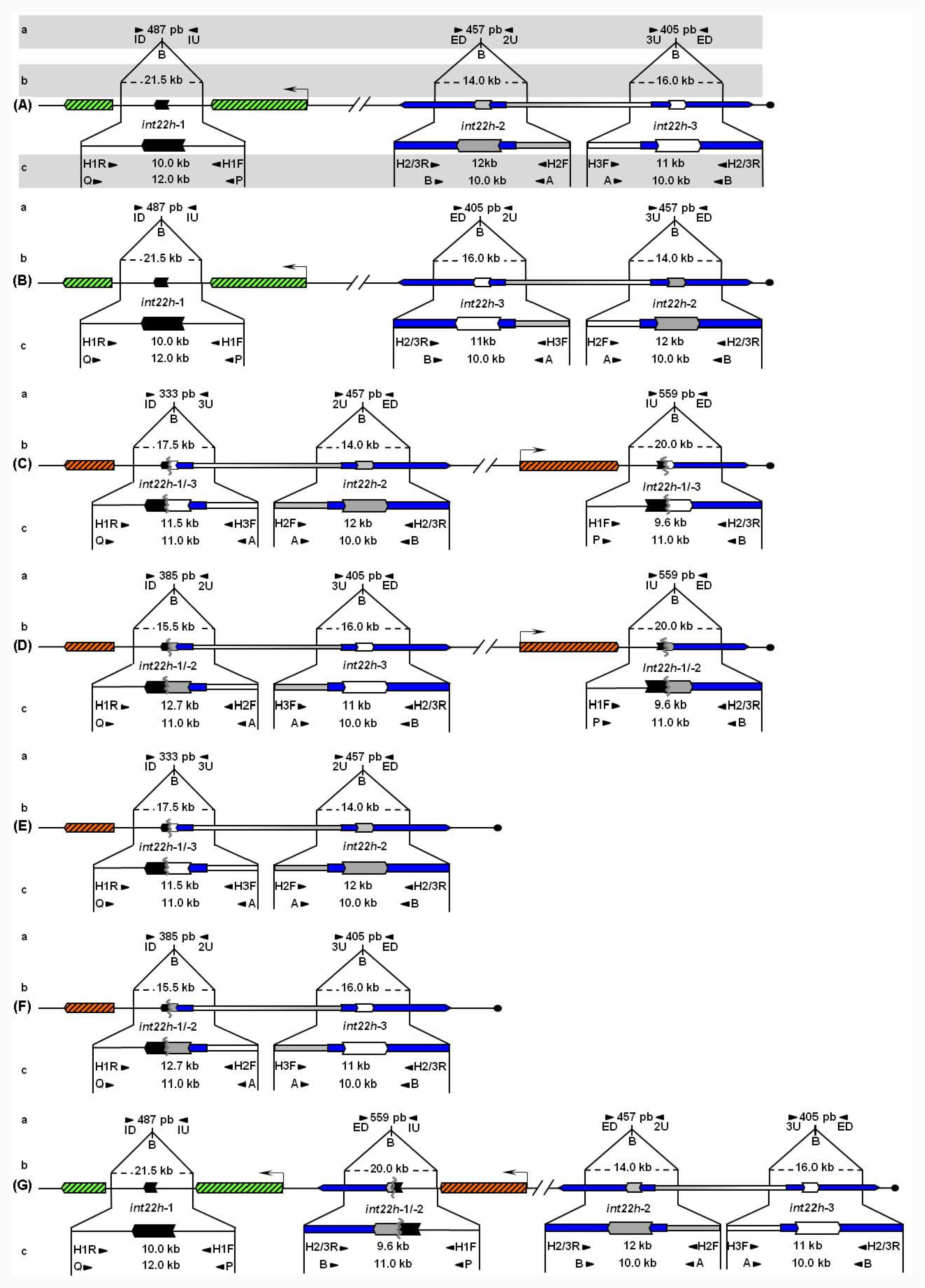 Ijms 12 07271f1 1024