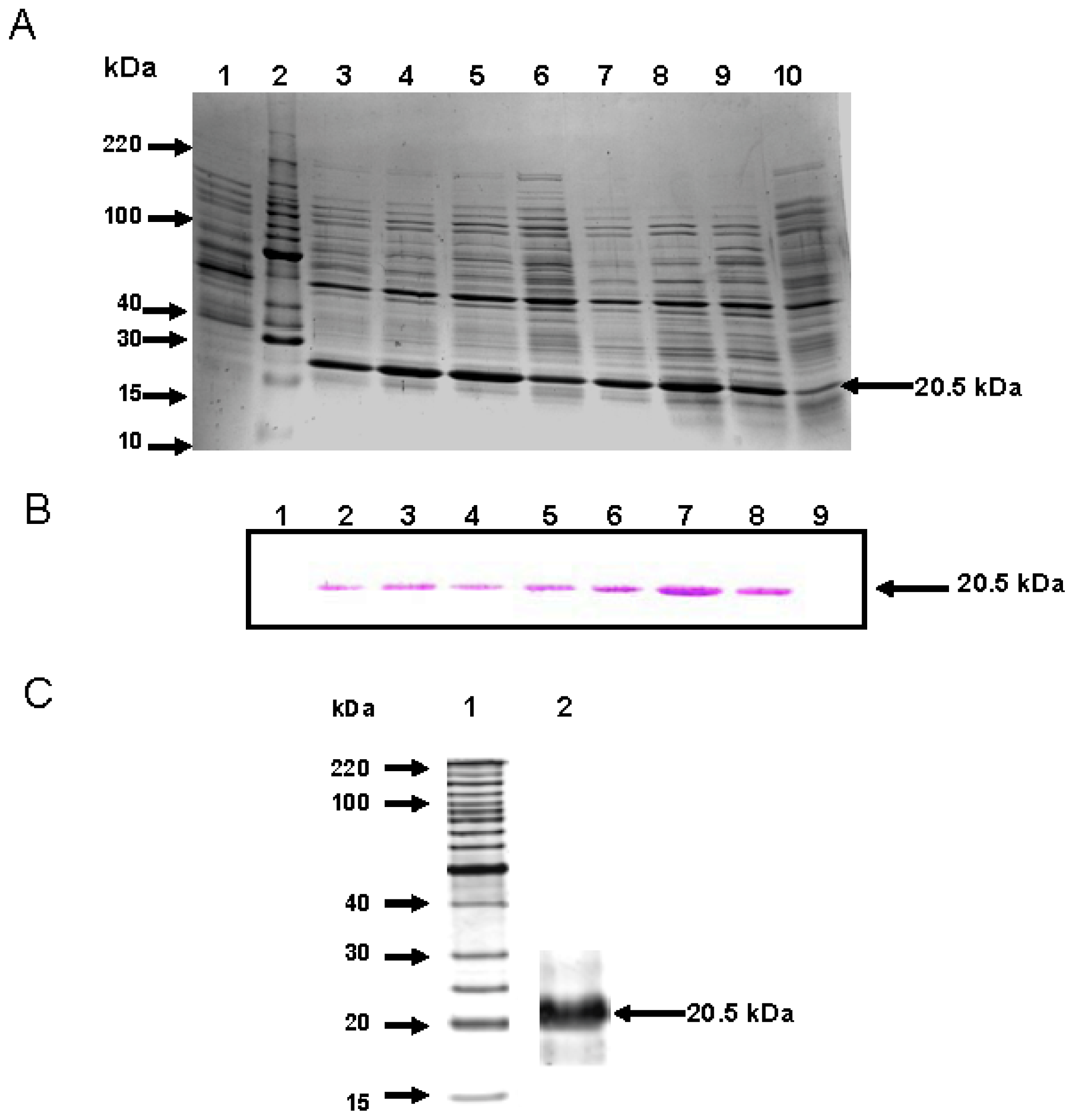 Ijms 12 07301f3 1024