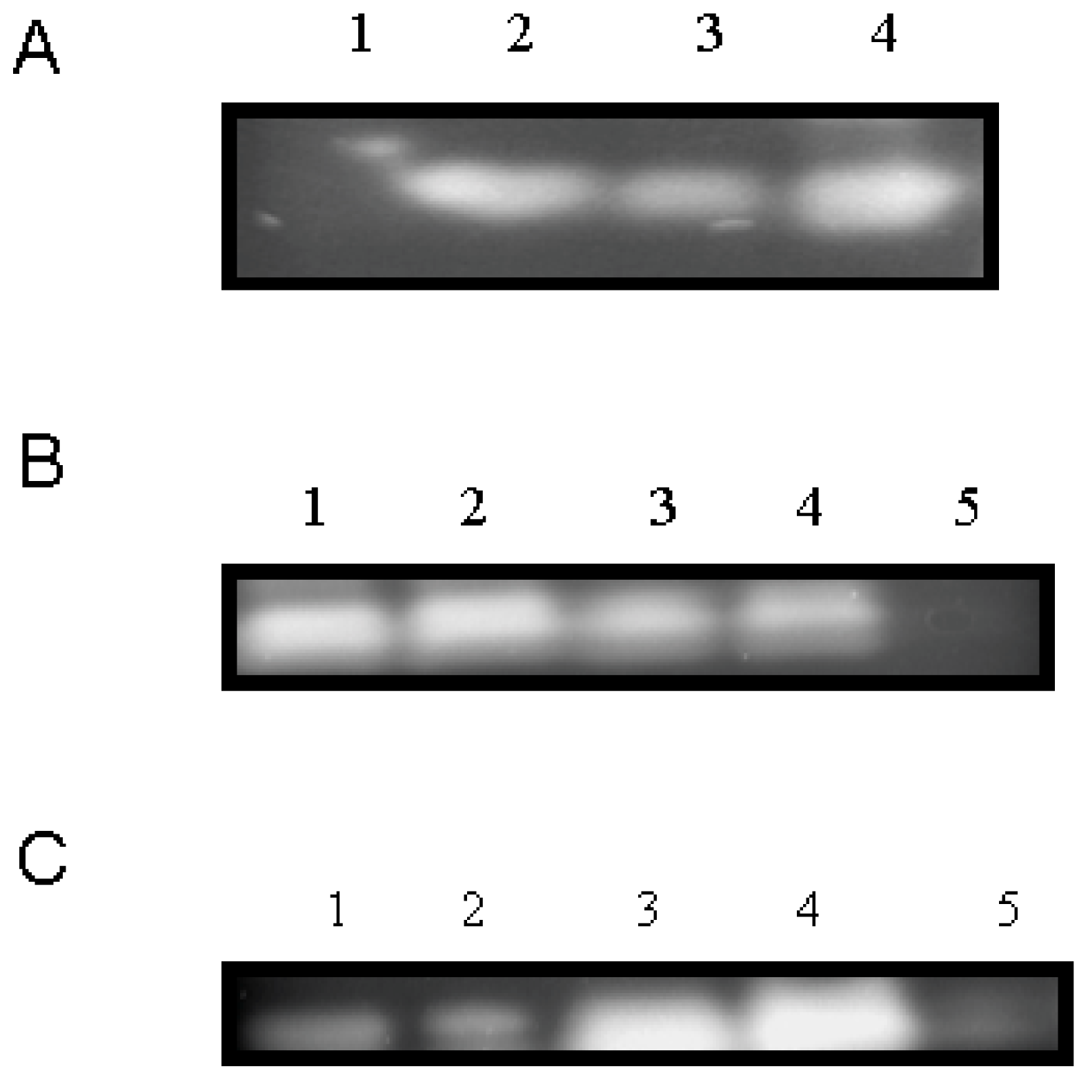 Ijms 12 07301f4 1024