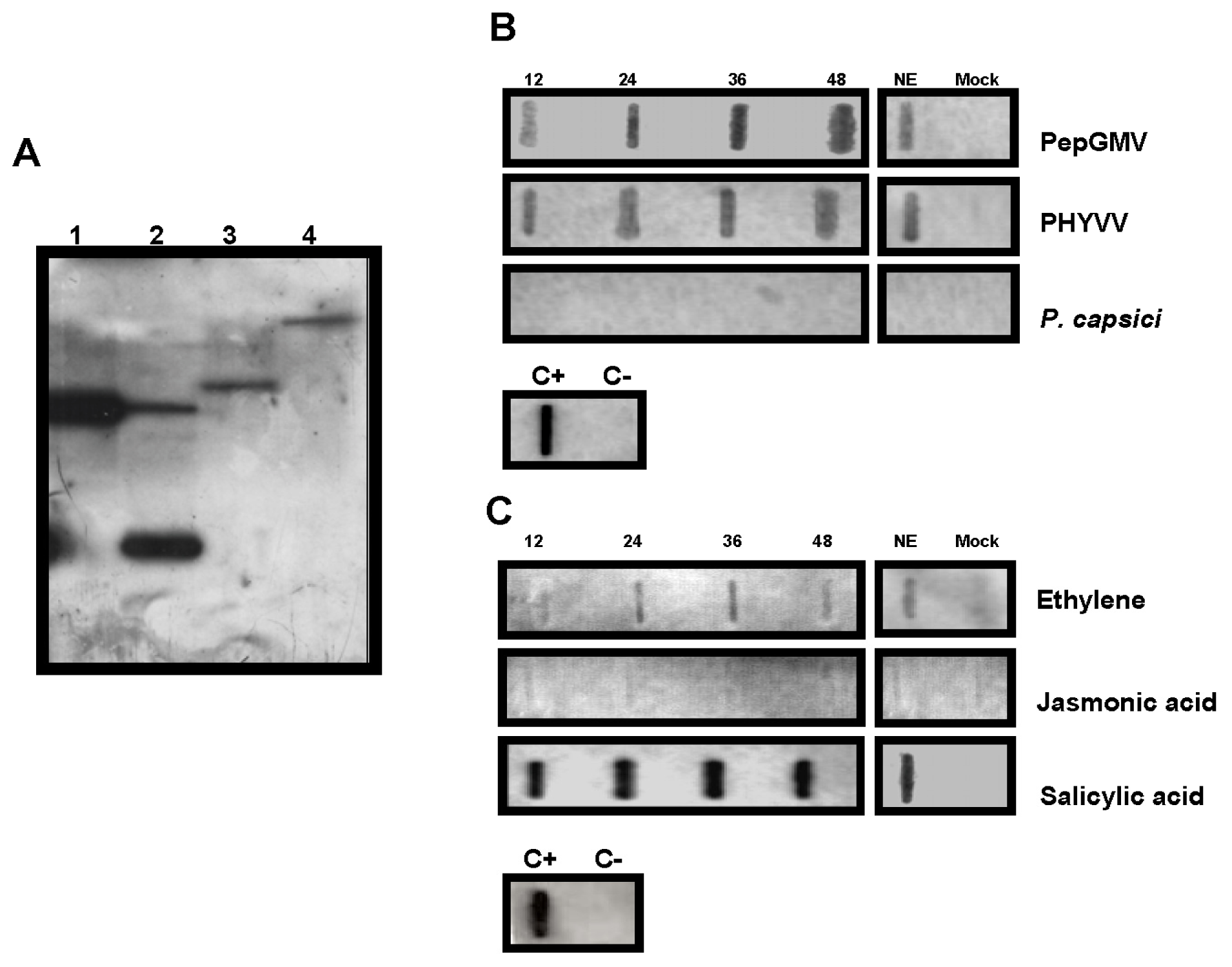 Ijms 12 07301f5 1024
