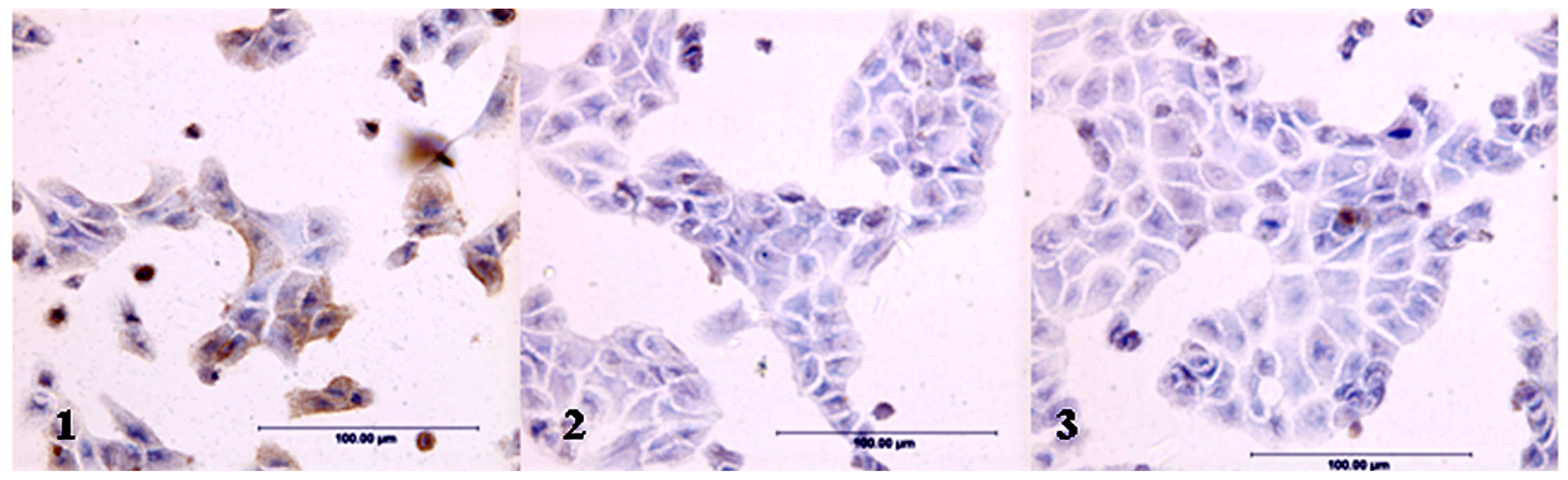 Ijms 12 07323f1 1024