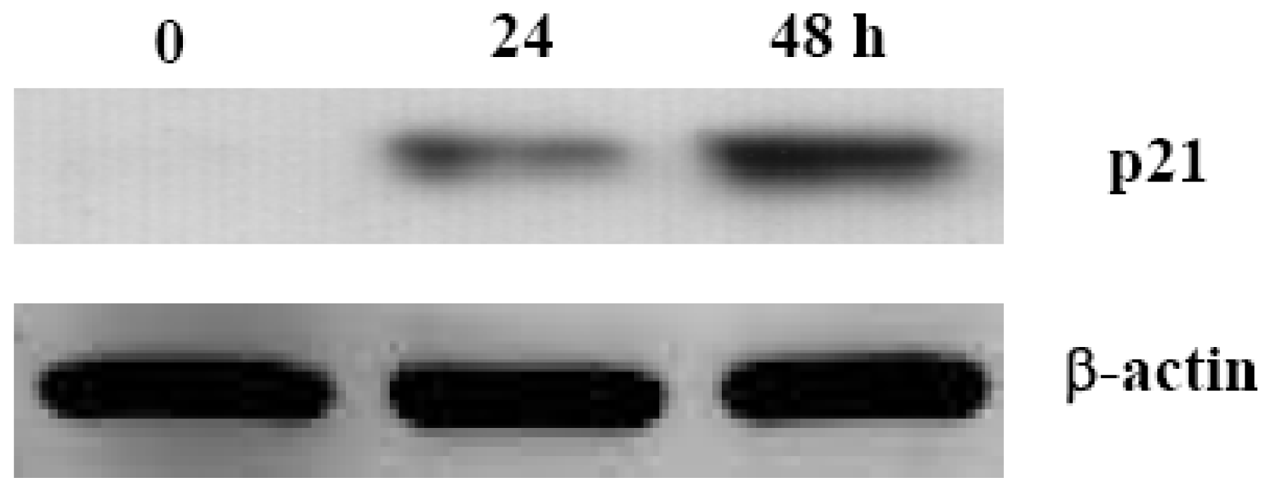 Ijms 12 07352f4 1024