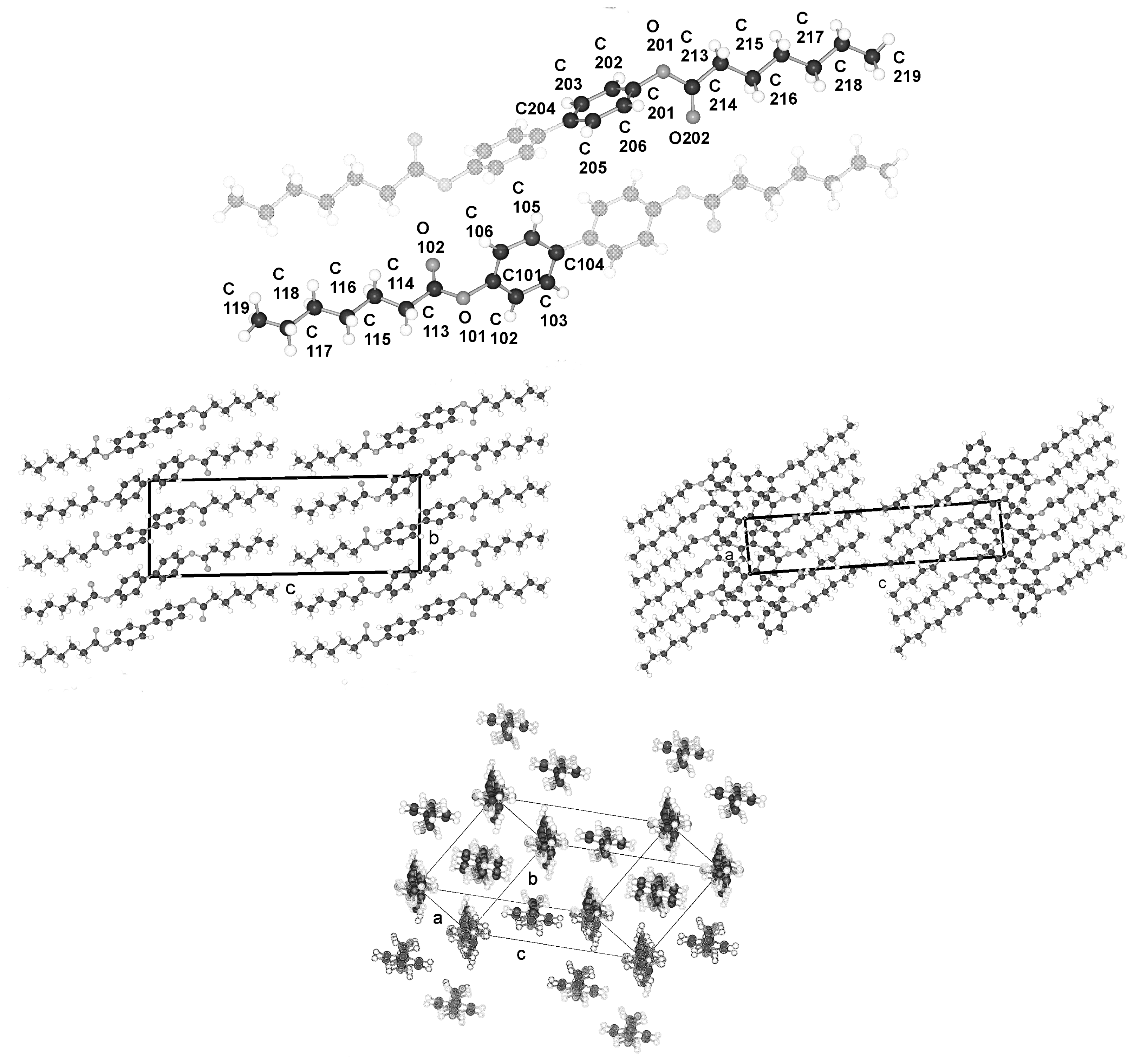 Ijms 12 07360f21 1024