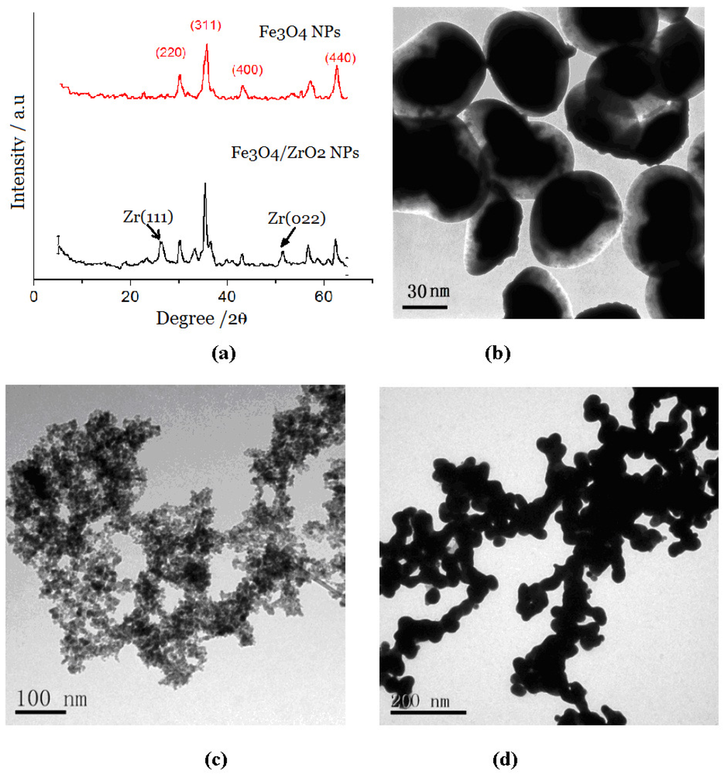 IJMS Free FullText A Sandwich Electrochemical Immunosensor Using