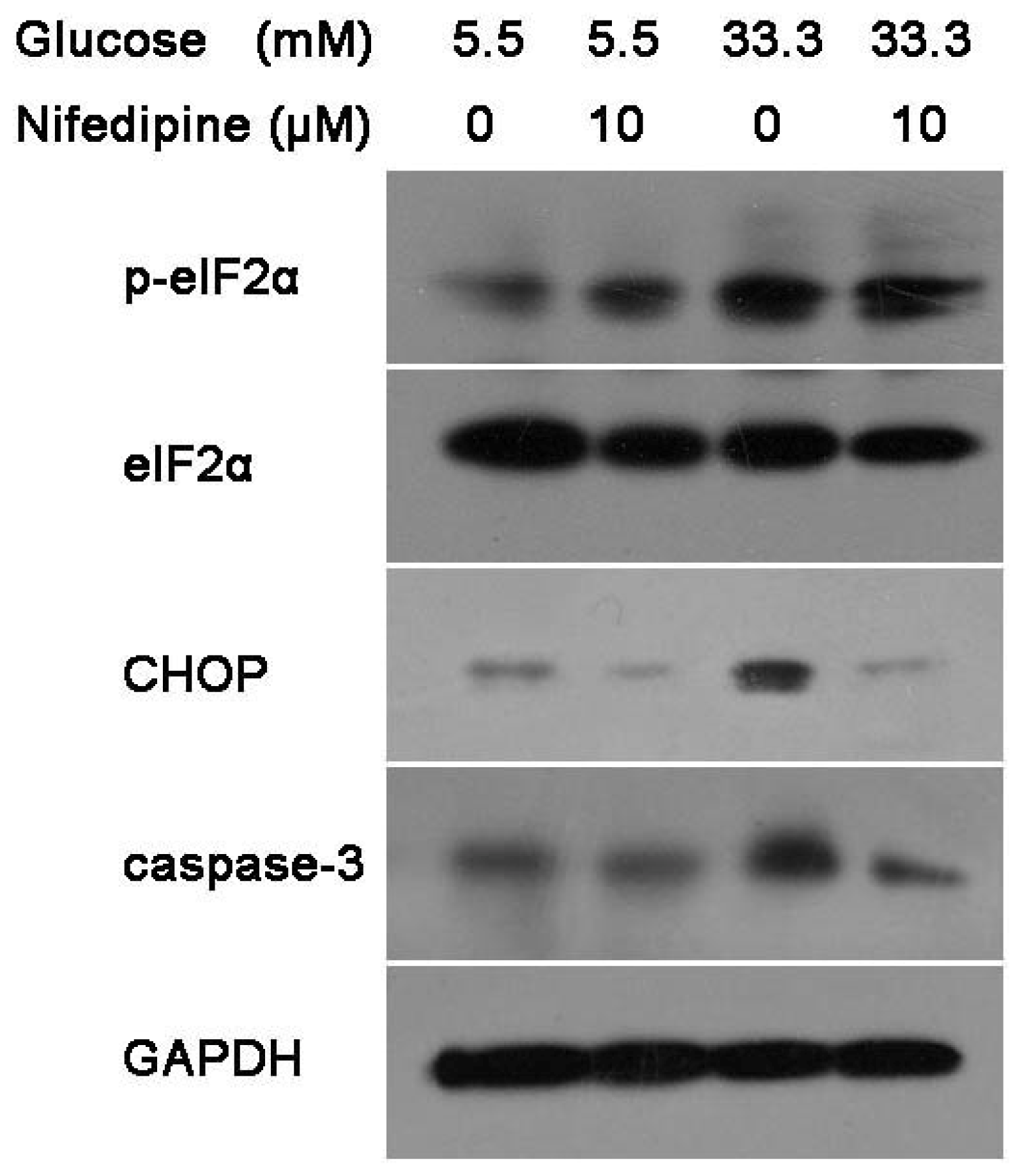 Ijms 12 07569f2 1024