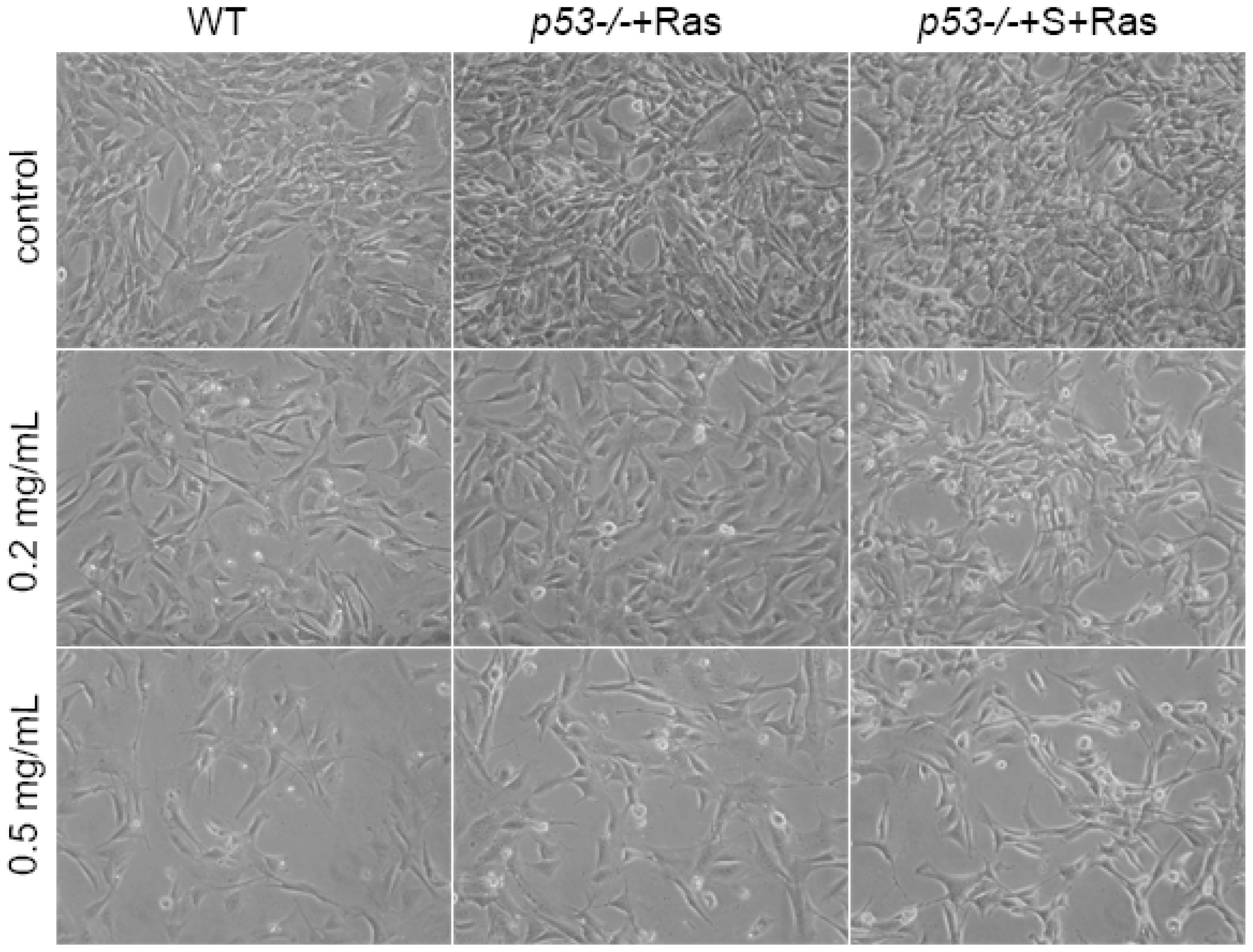 Ijms 12 07581f2 1024