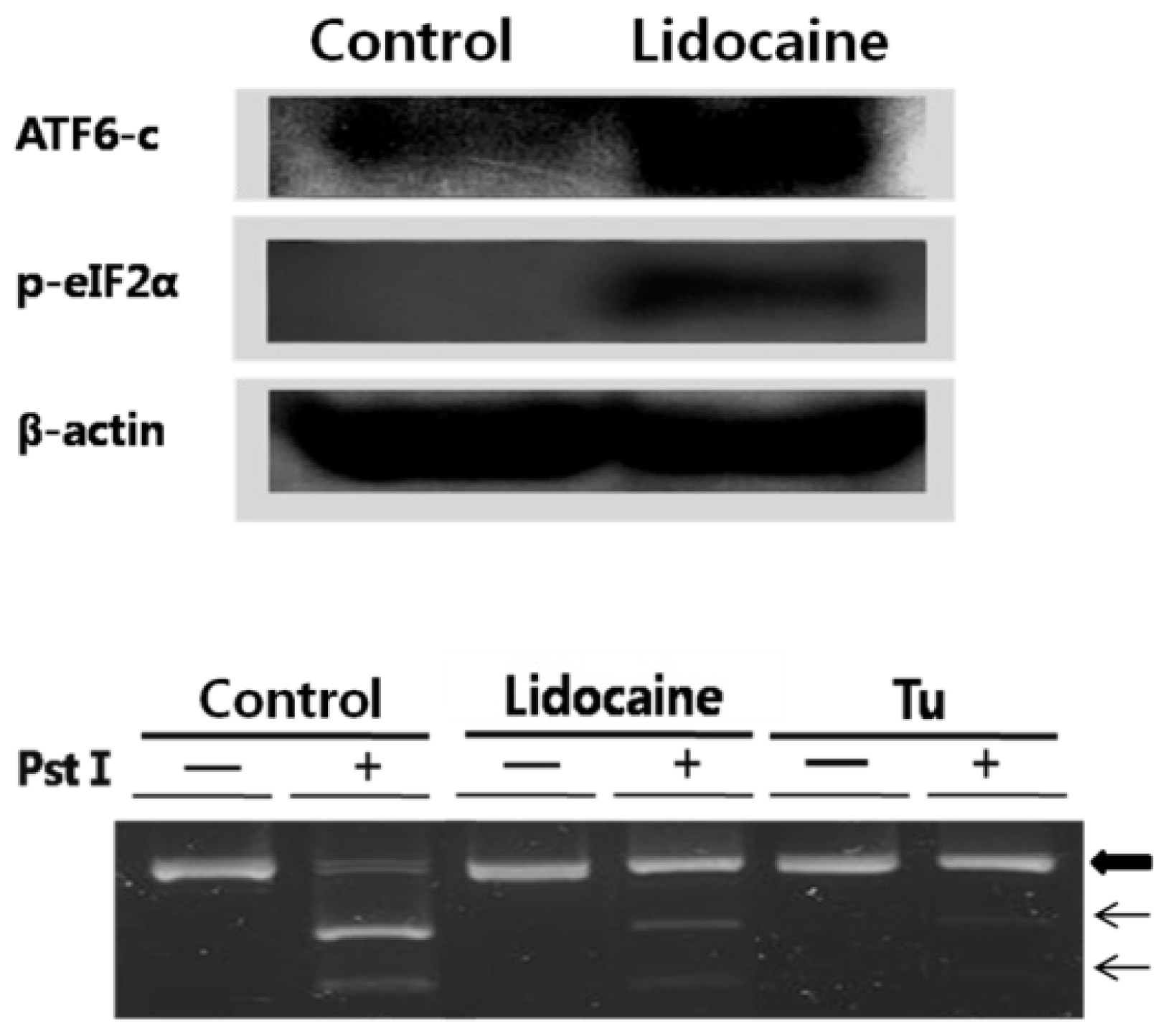 Ijms 12 07652f2 1024