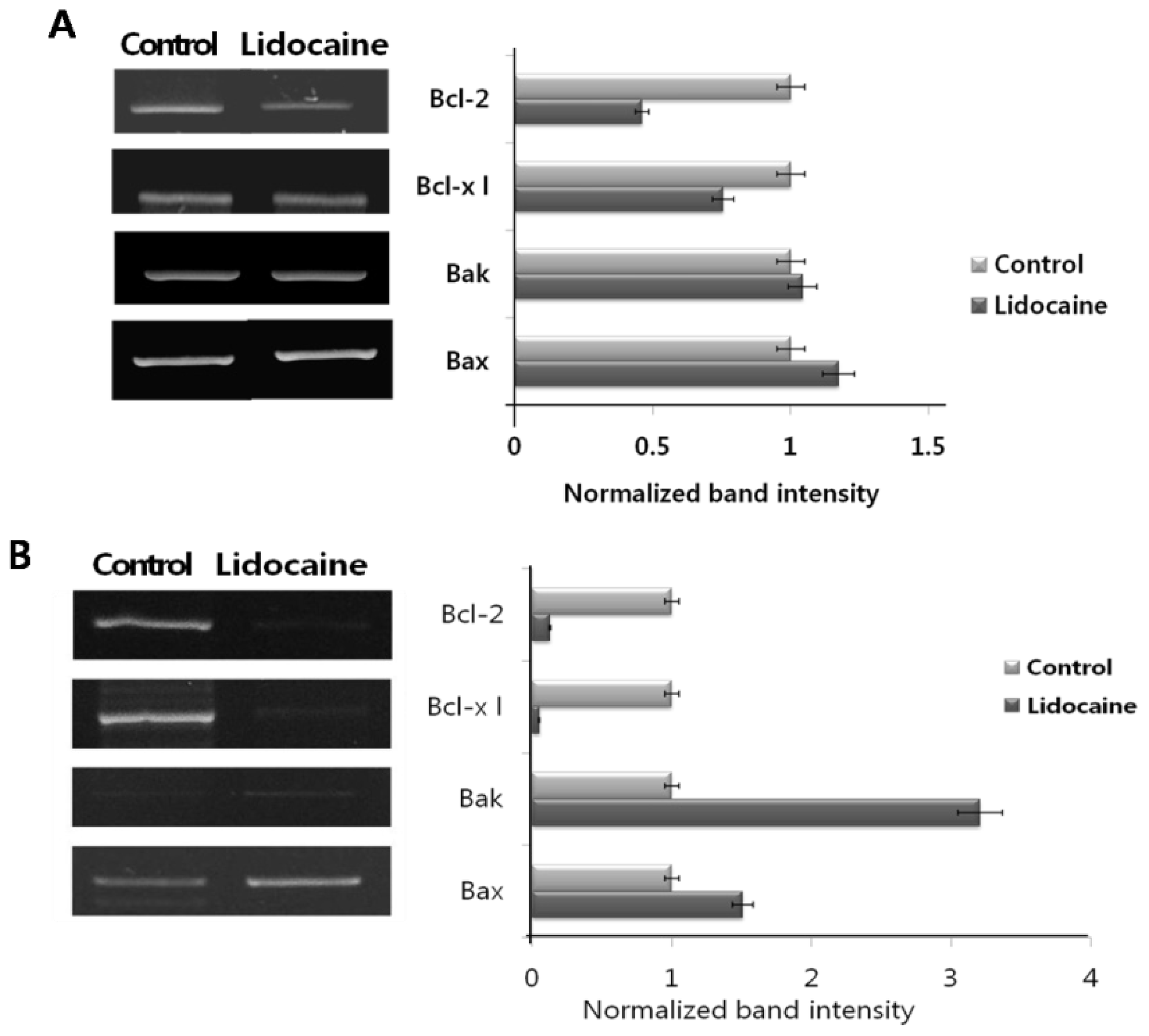 Ijms 12 07652f3 1024