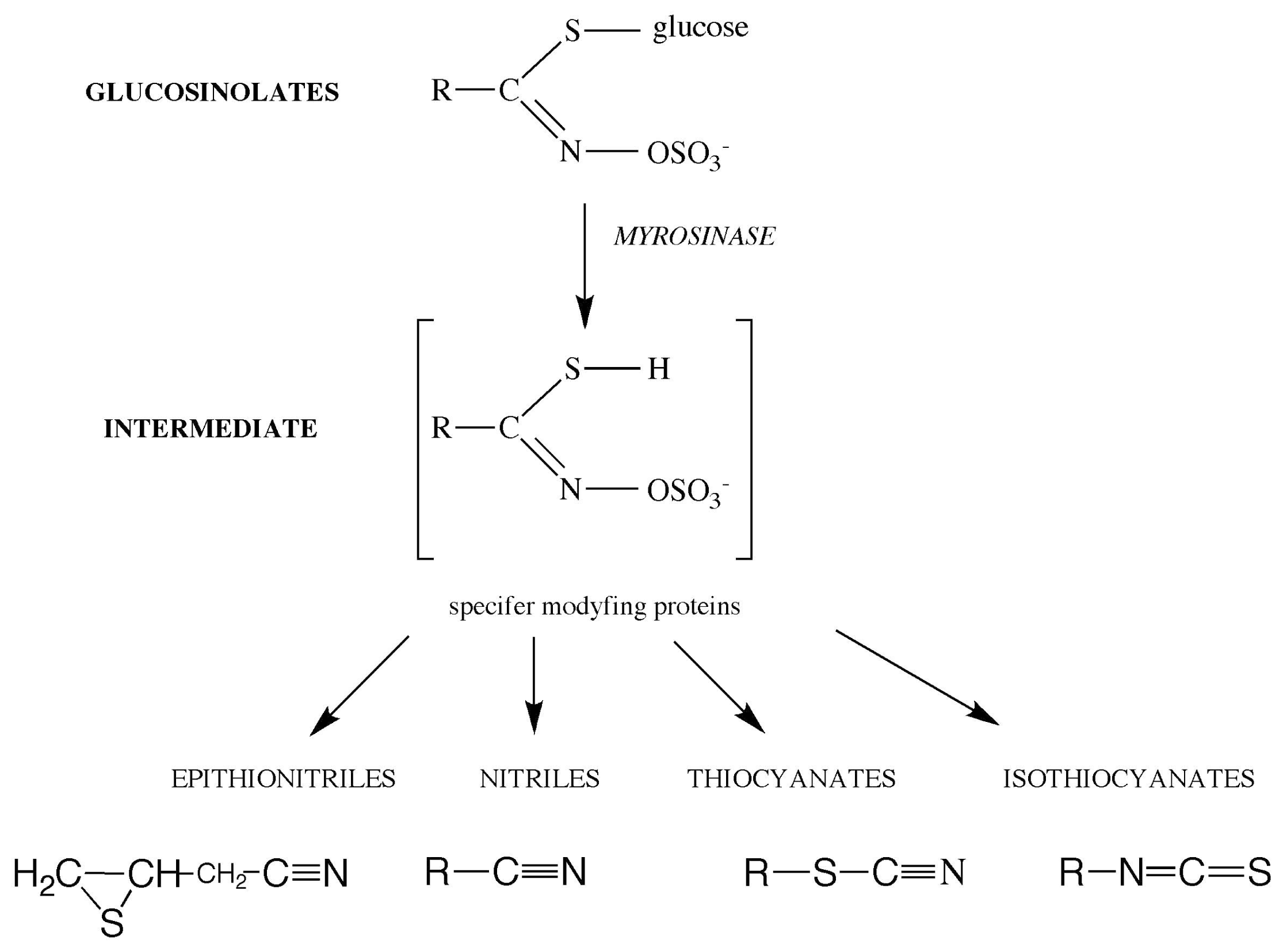 Ijms 12 07760f1 1024