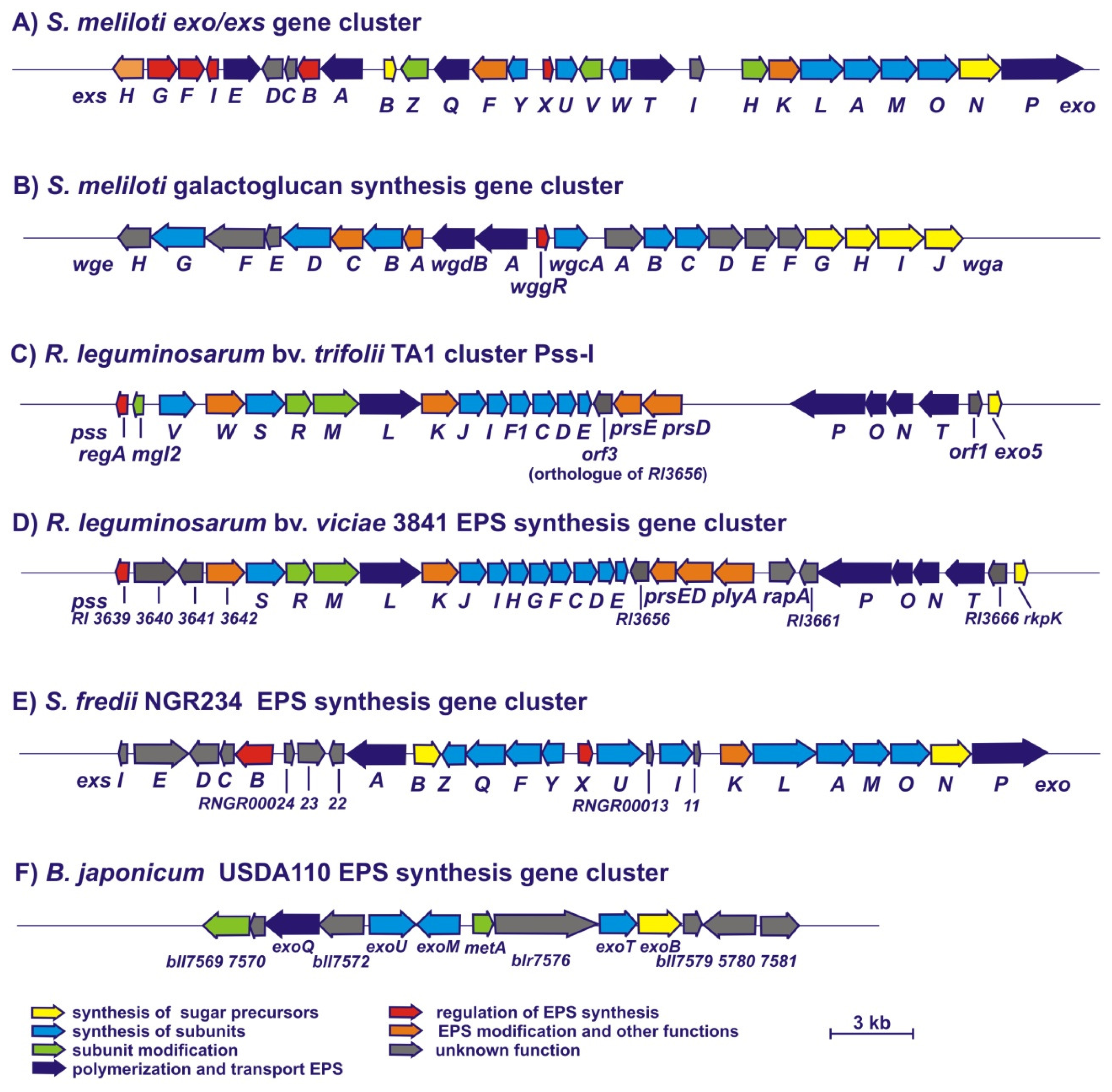 Ijms 12 07898f2 1024