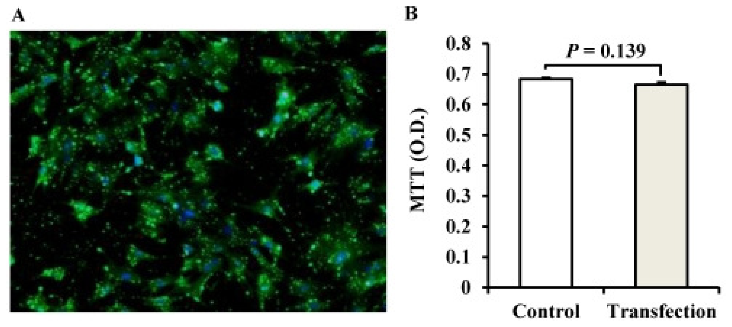 Ijms 12 07950f2 1024