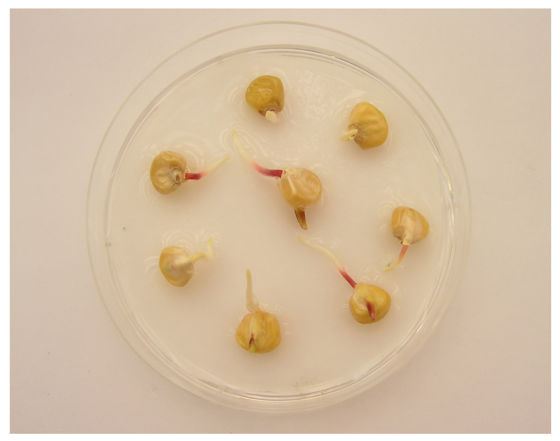 Ijms 12 07982f6 1024