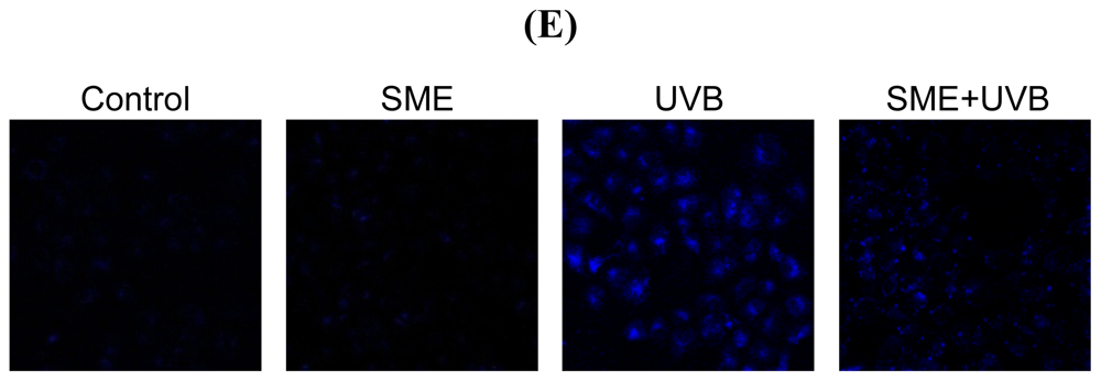 Ijms 12 08146f1c 1024