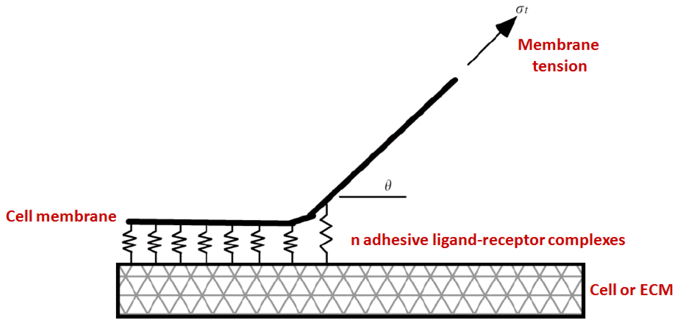 Ijms 12 08217f5 1024