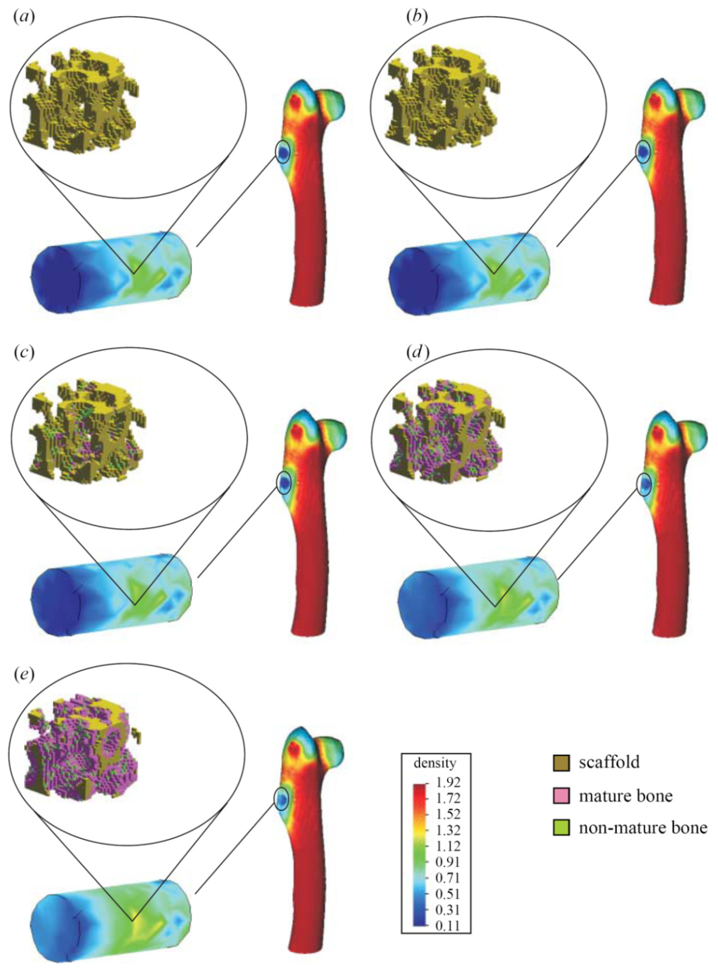 Ijms 12 08217f8 1024