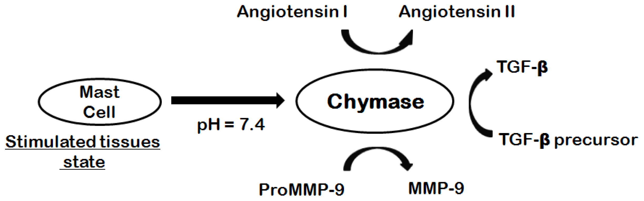 Ijms 12 09236f1