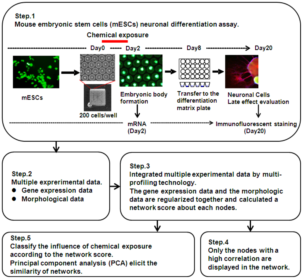 Neurons-on-a-Chip for Drug Development & Neurotoxicity