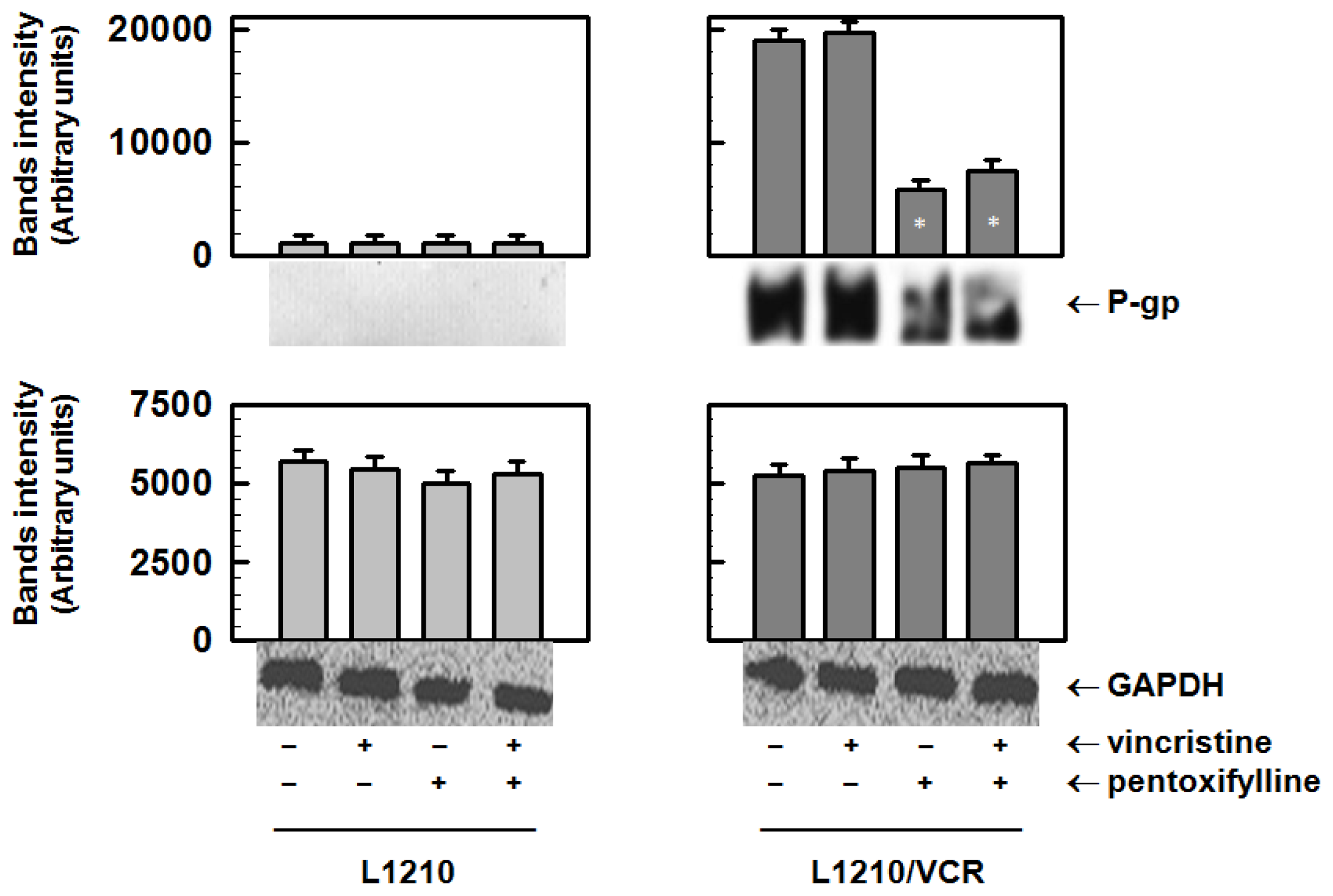 Ijms 13 00369f1 1024