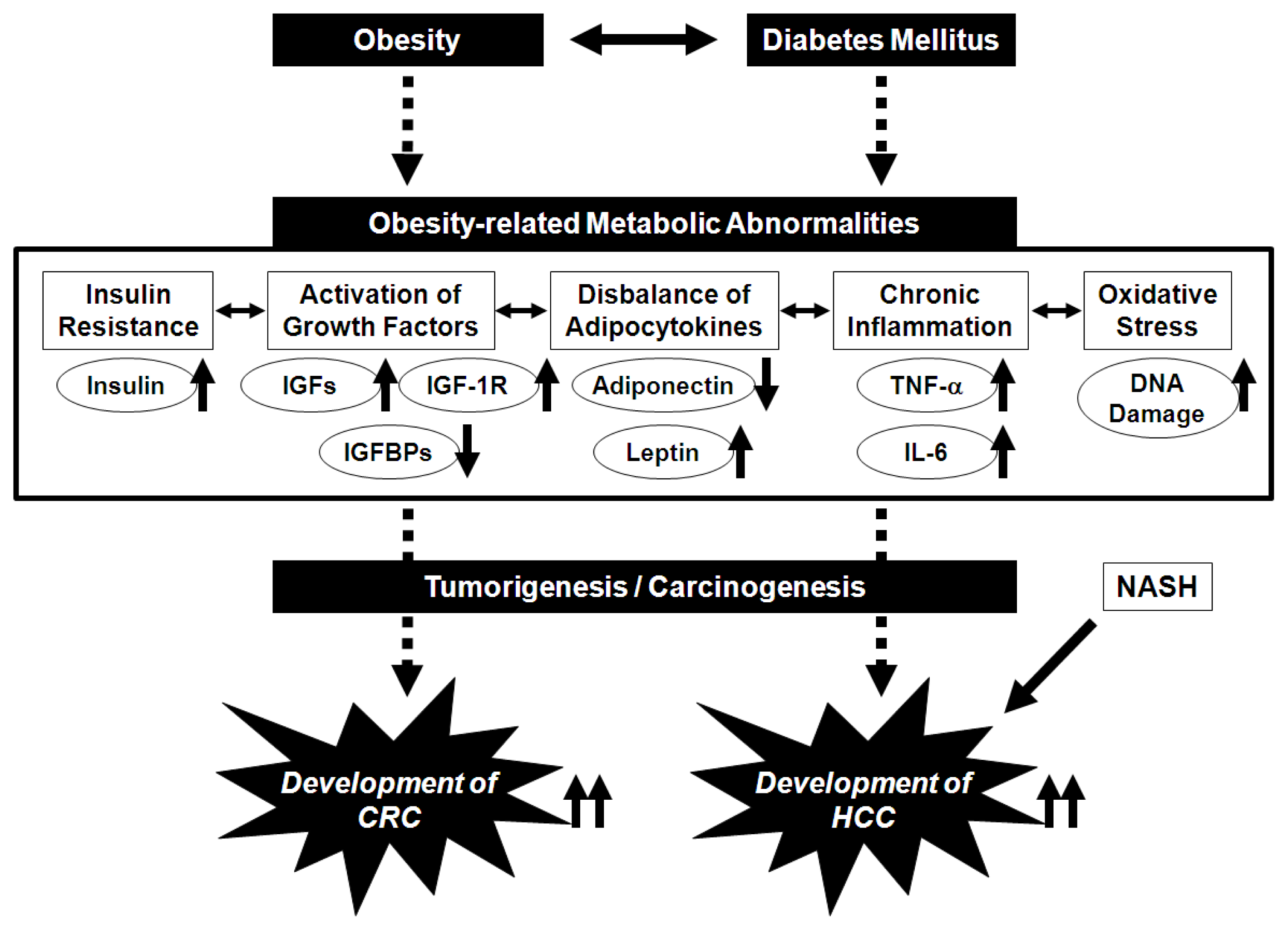 Ijms 13 00579f1 1024