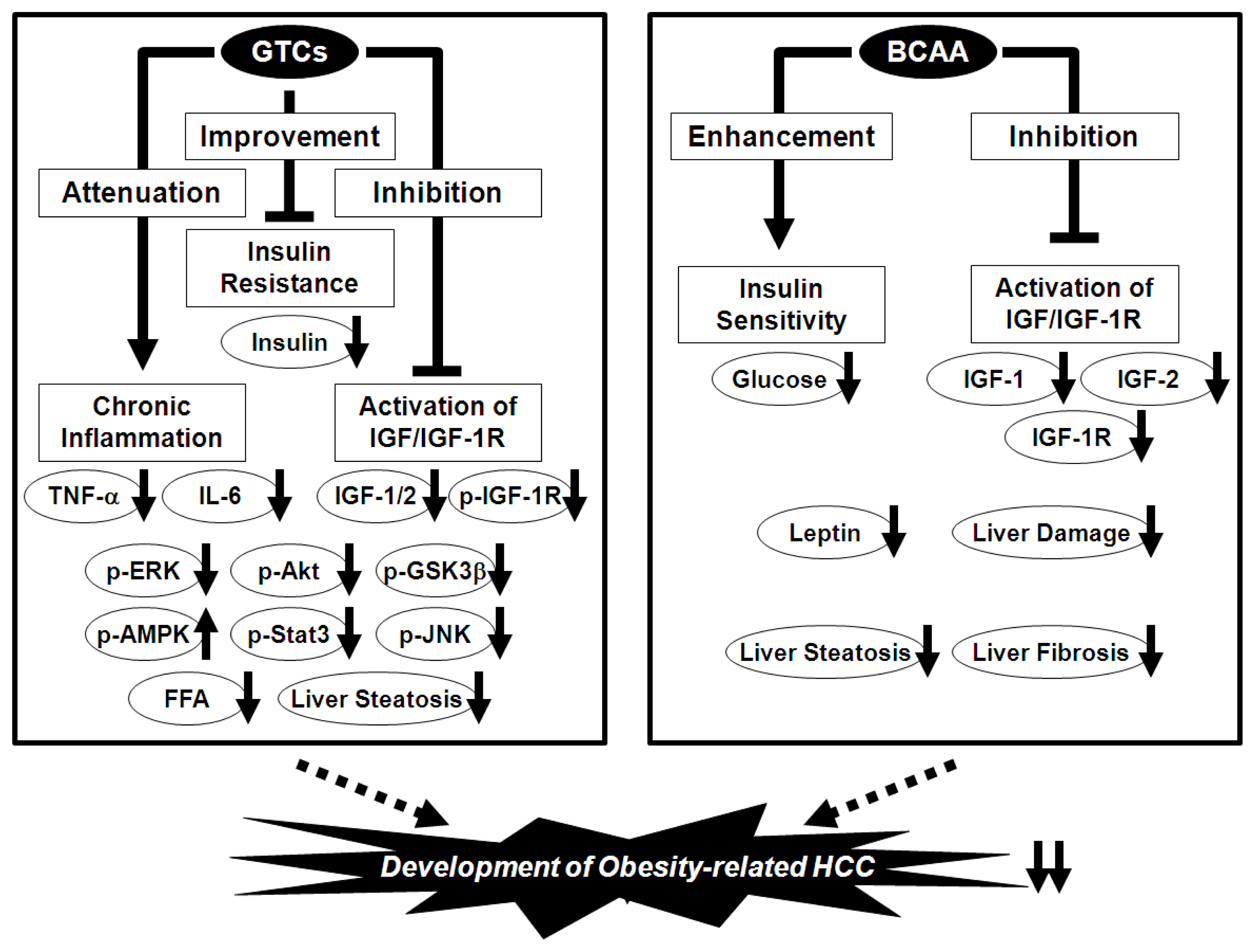 Ijms 13 00579f3 1024