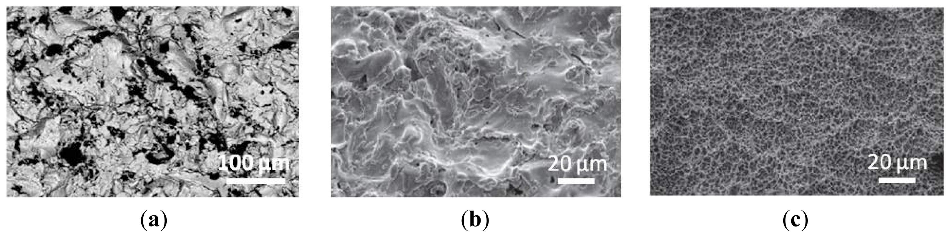 Ijms 13 00737f1 1024