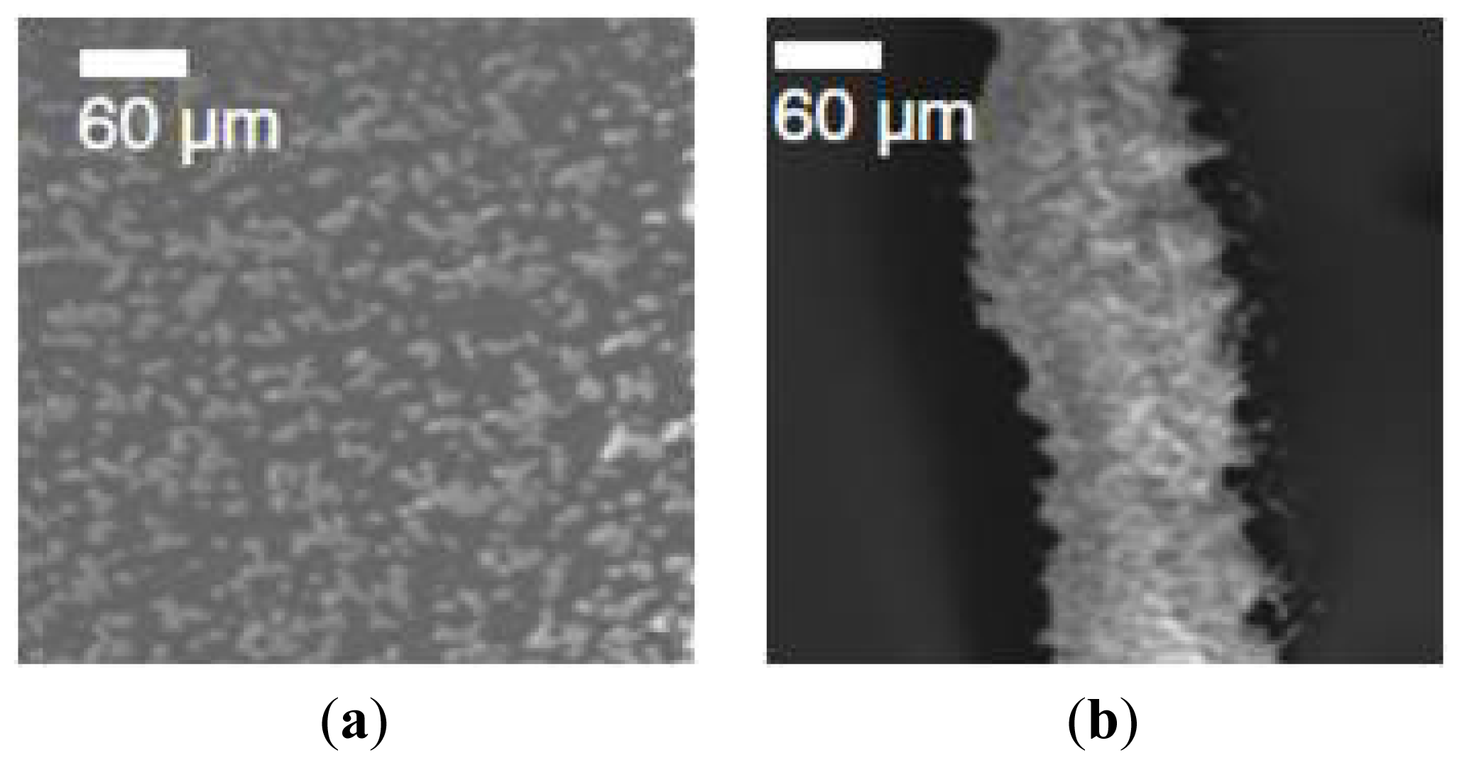 Ijms 13 00737f2 1024