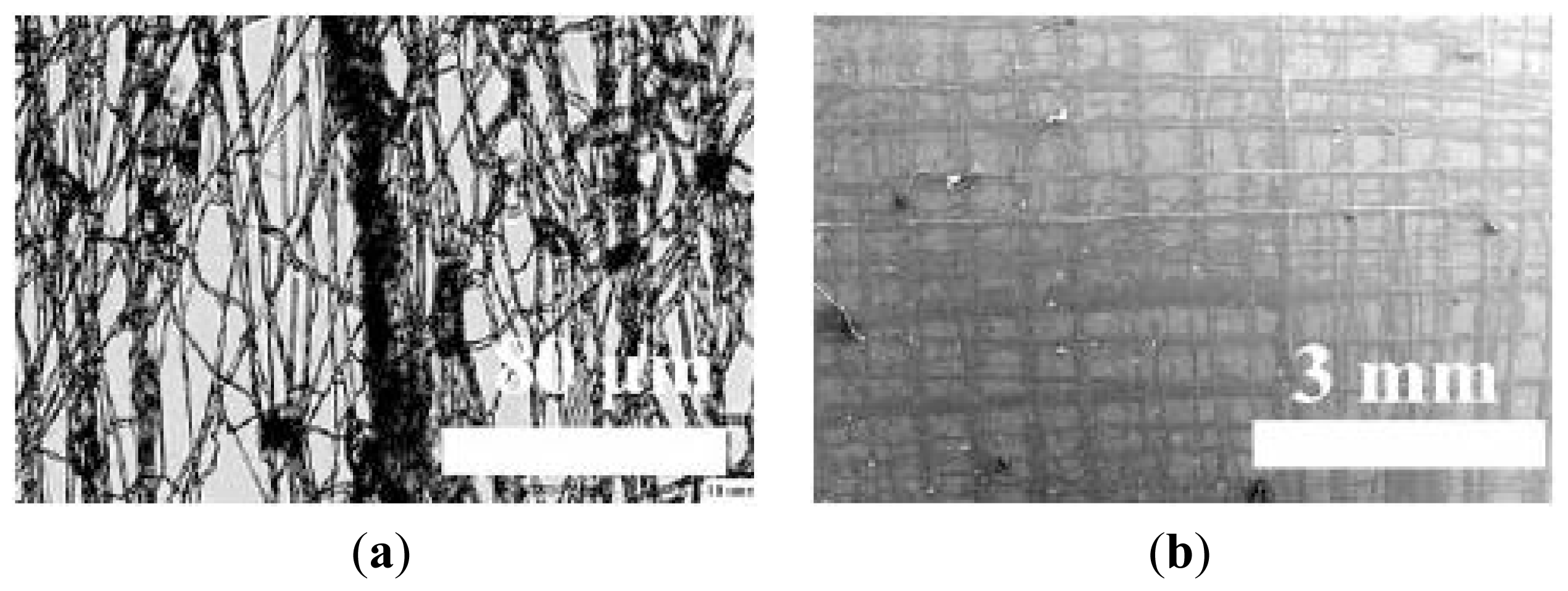 Ijms 13 00737f3 1024