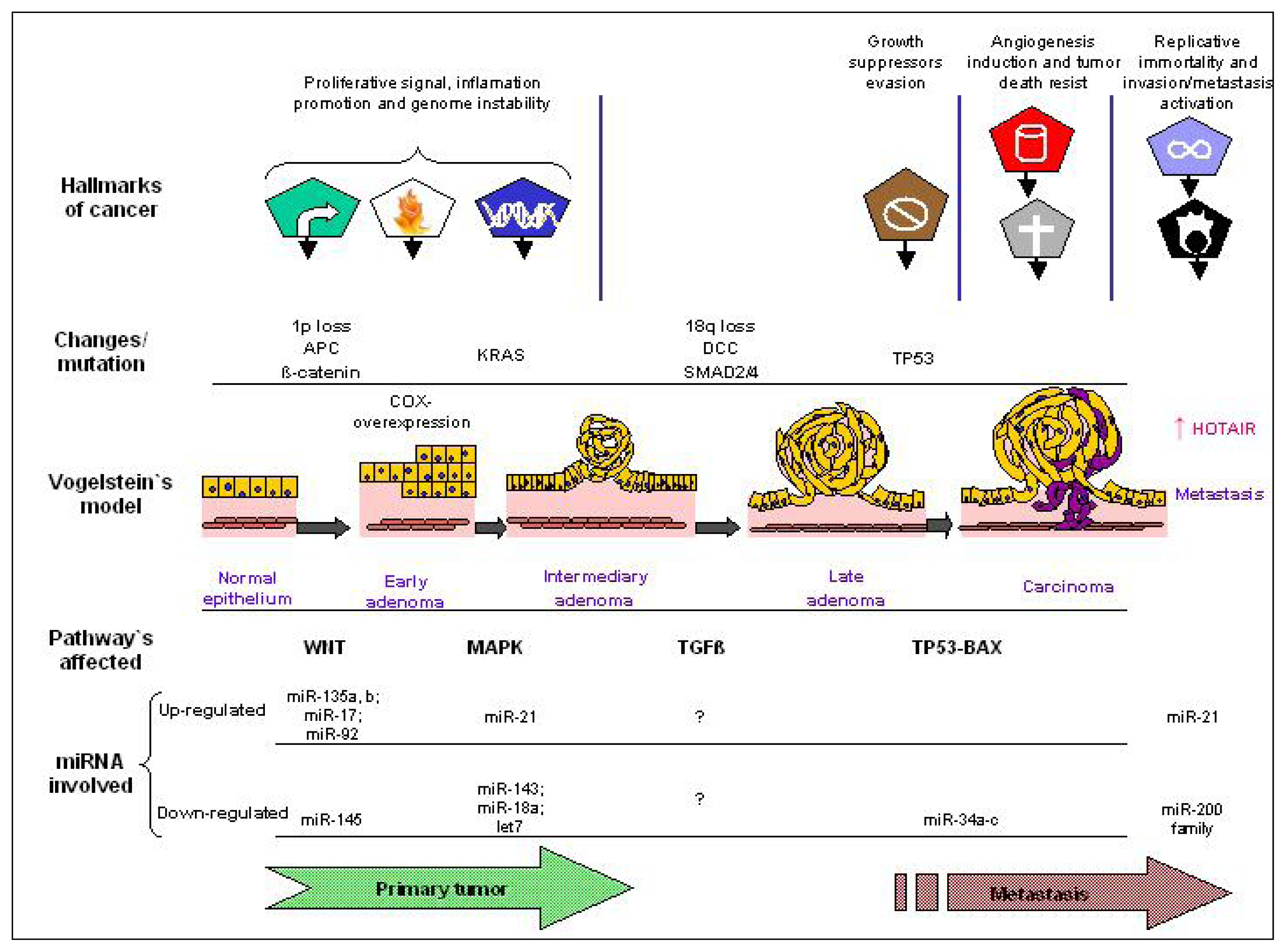 Ijms 13 00840f2 1024