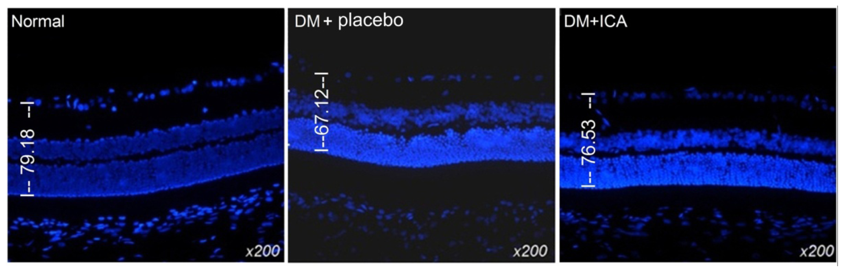 Ijms 13 00866f1 1024