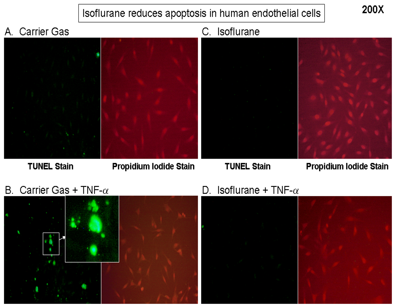Ijms 13 00977f1a 1024