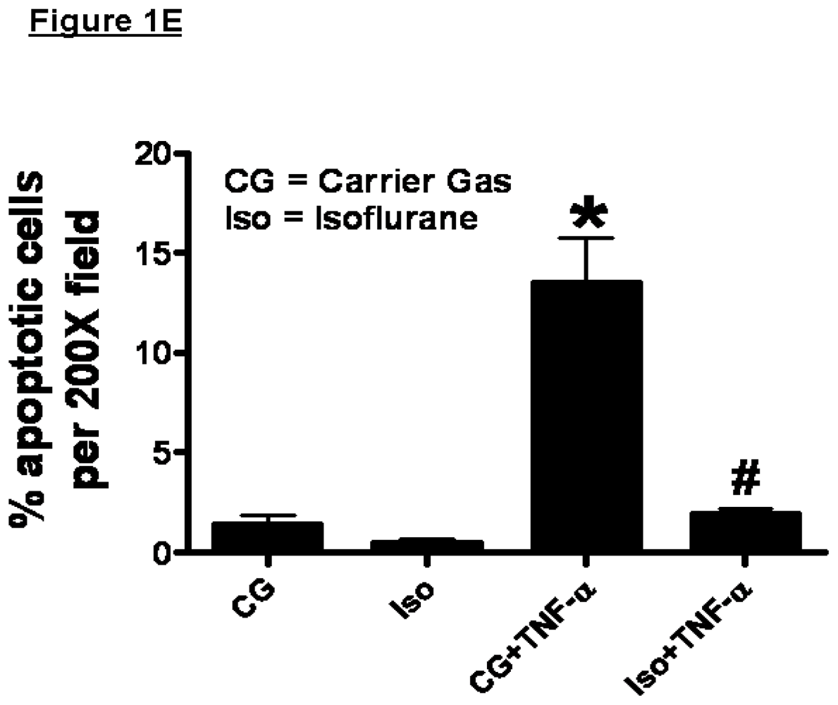 Ijms 13 00977f1b 1024
