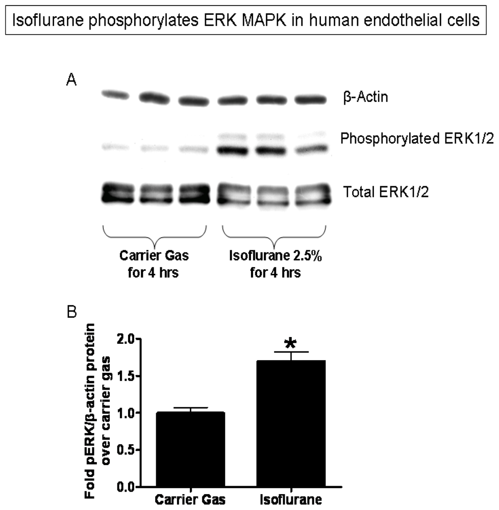 Ijms 13 00977f3 1024