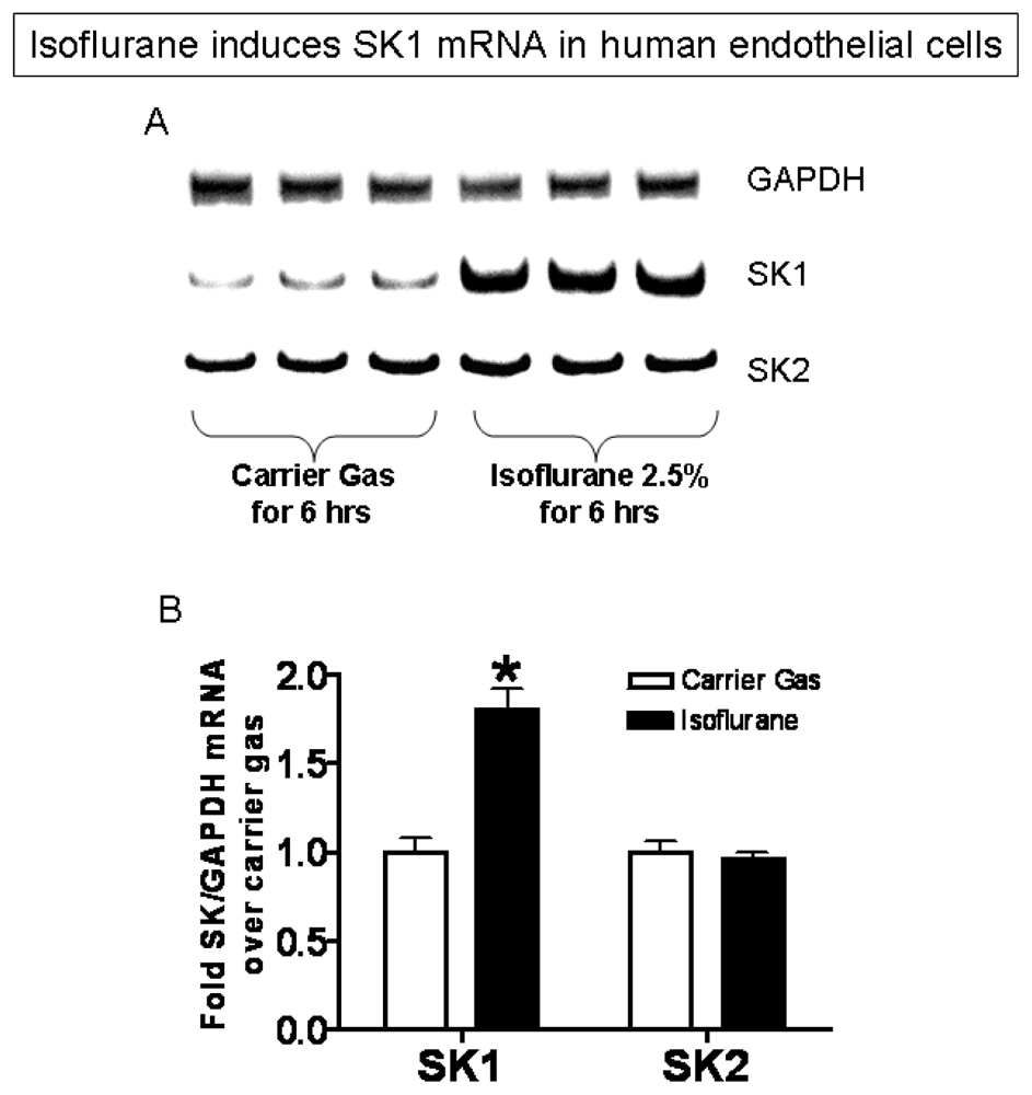 Ijms 13 00977f4 1024