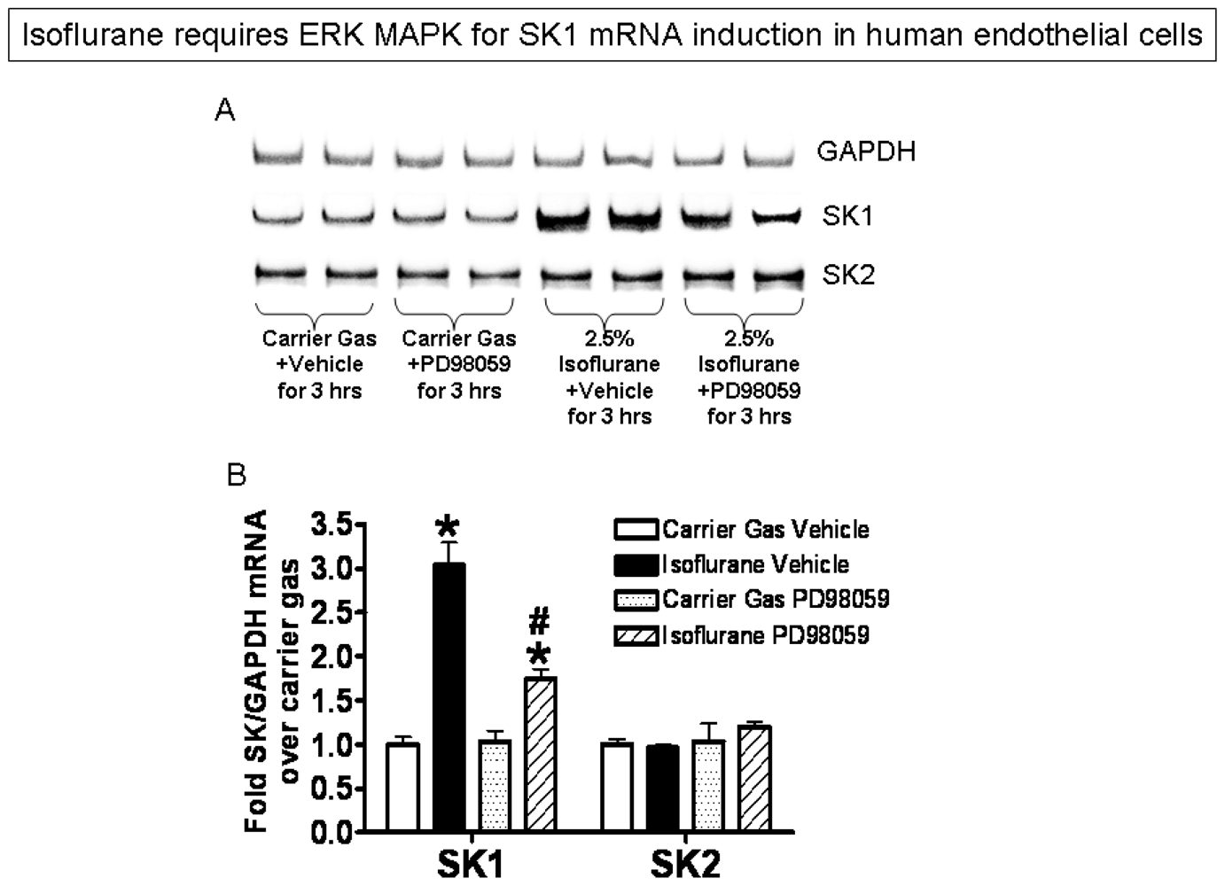 Ijms 13 00977f6 1024