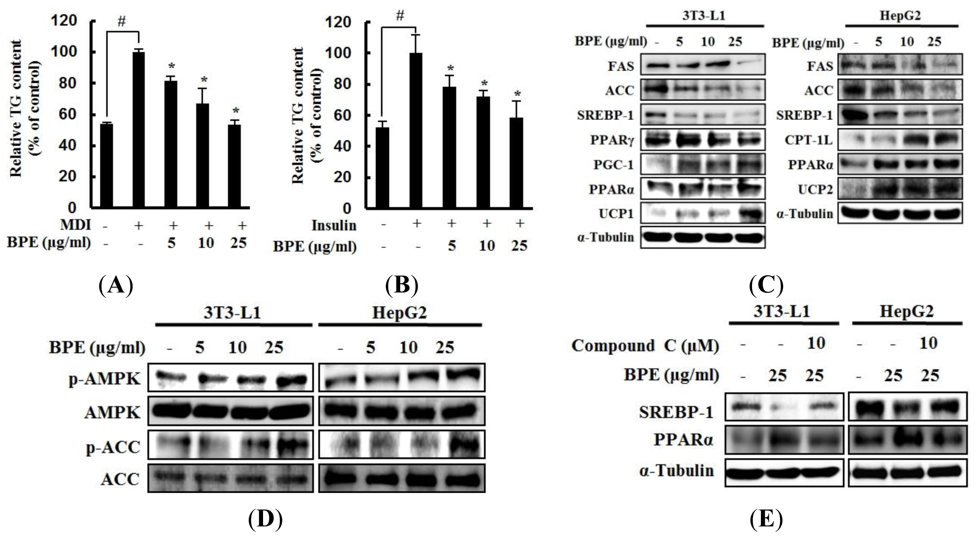 Ijms 13 00994f1 1024