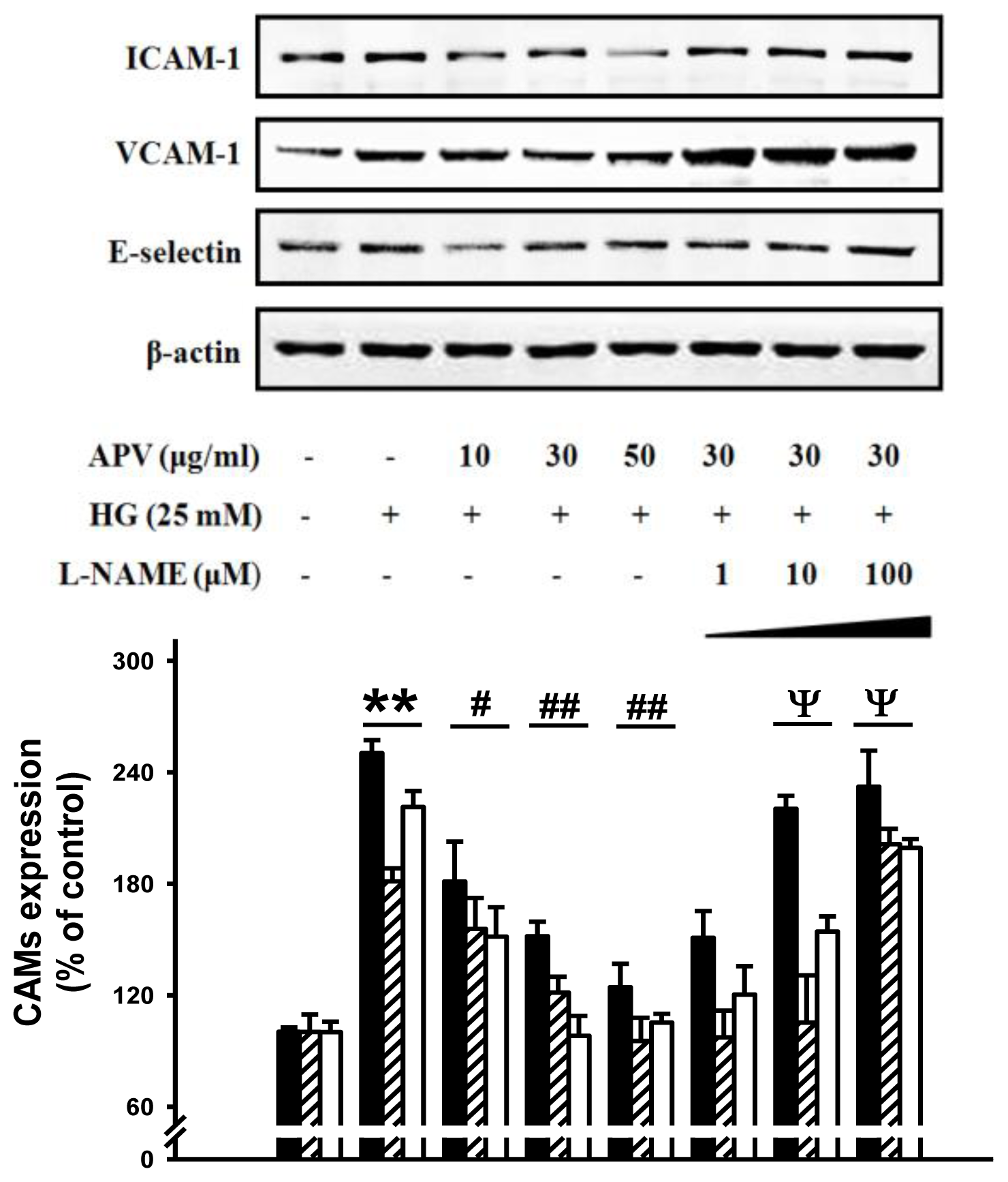 Ijms 13 01258f3 1024
