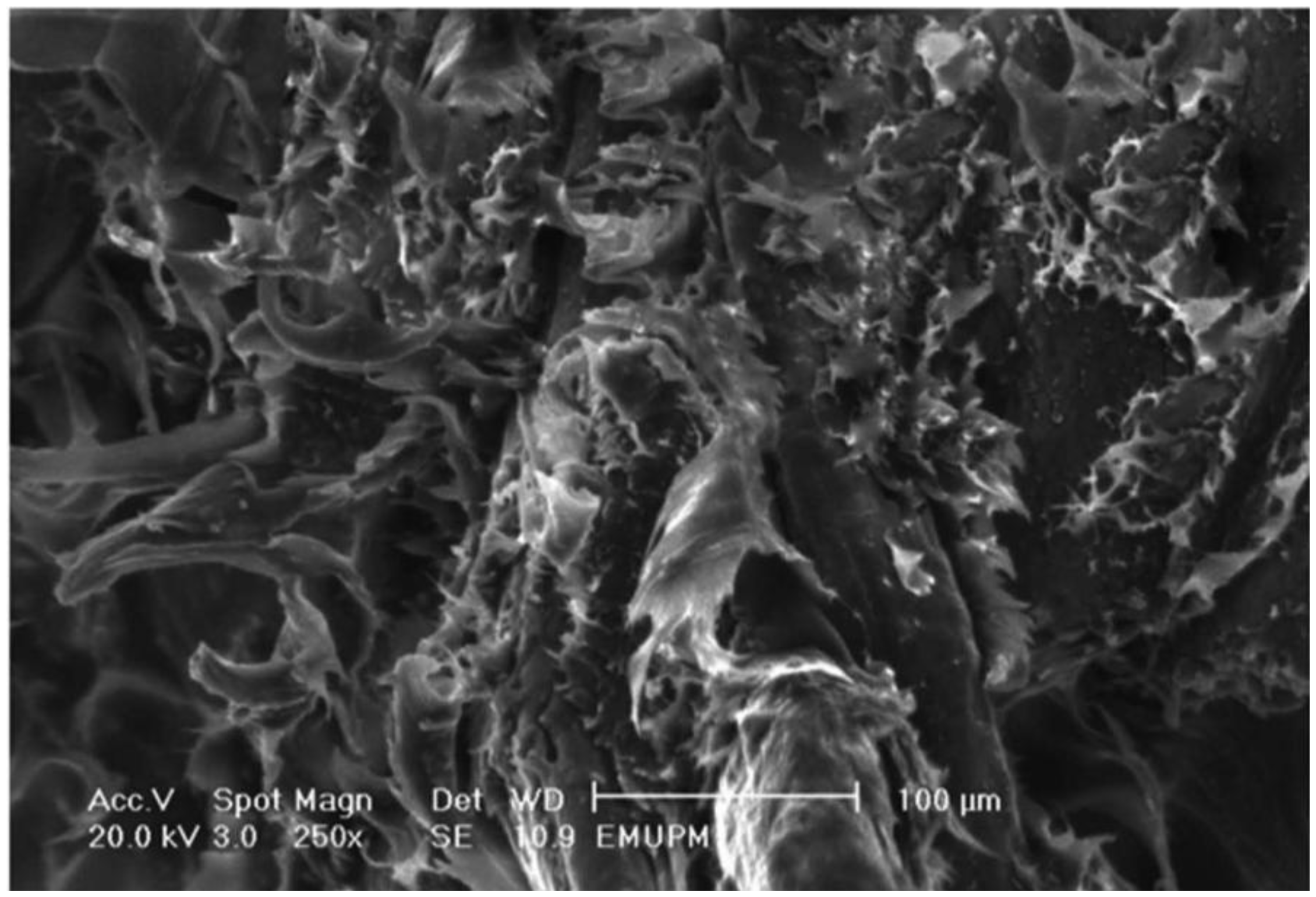 Ijms 13 01327f10 1024