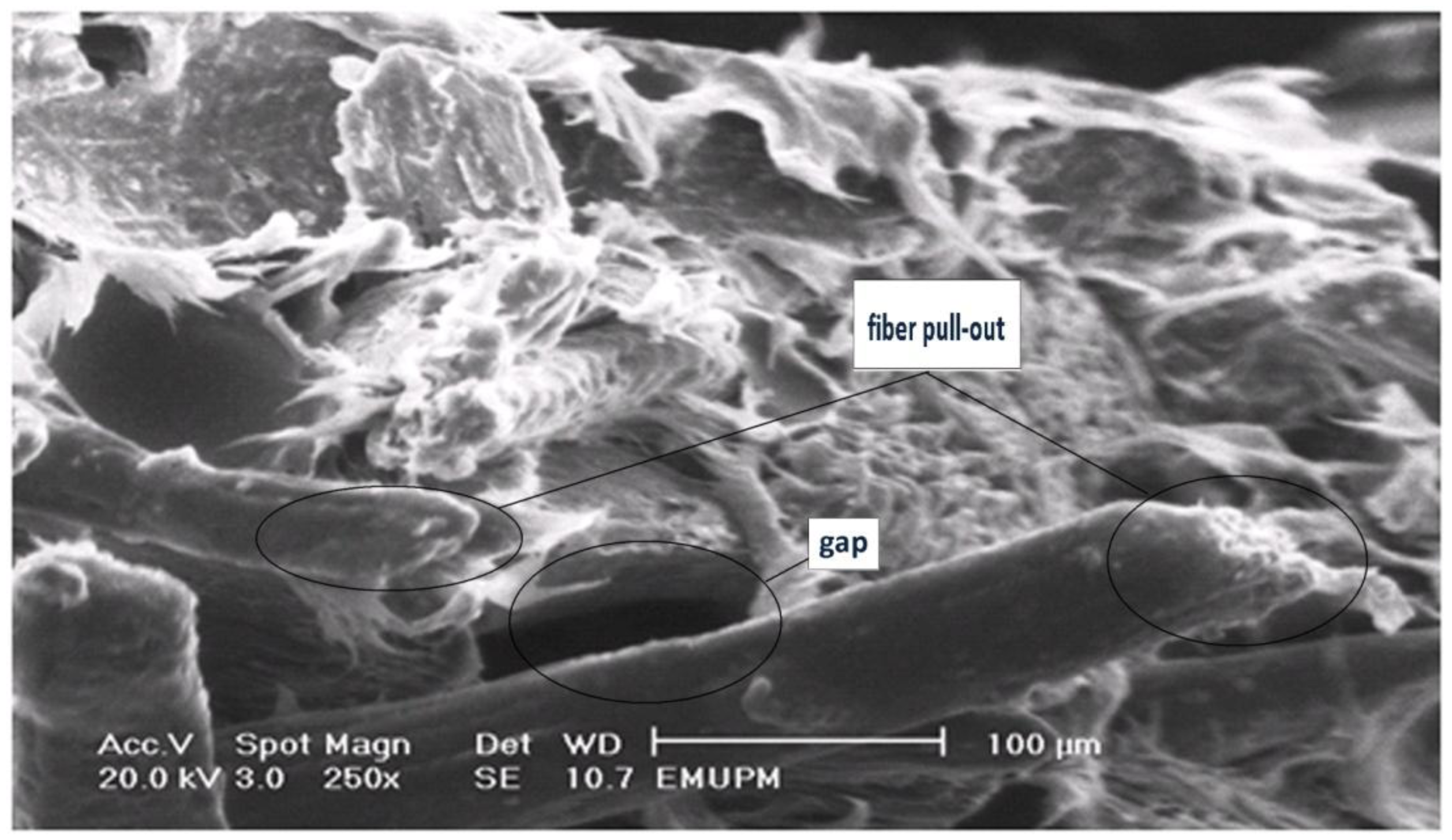 Ijms 13 01327f9 1024