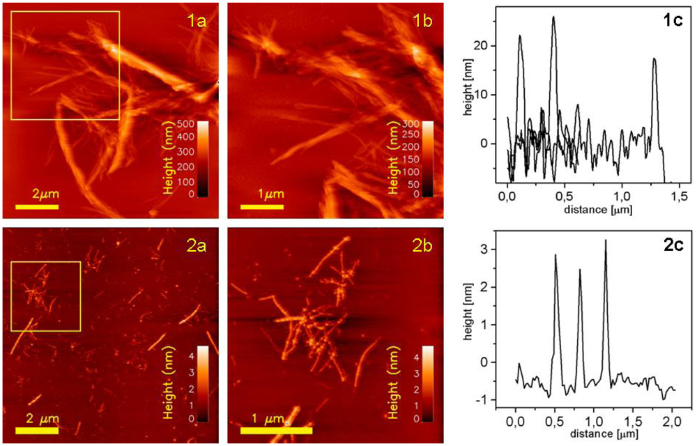 Ijms 13 01461f5 1024