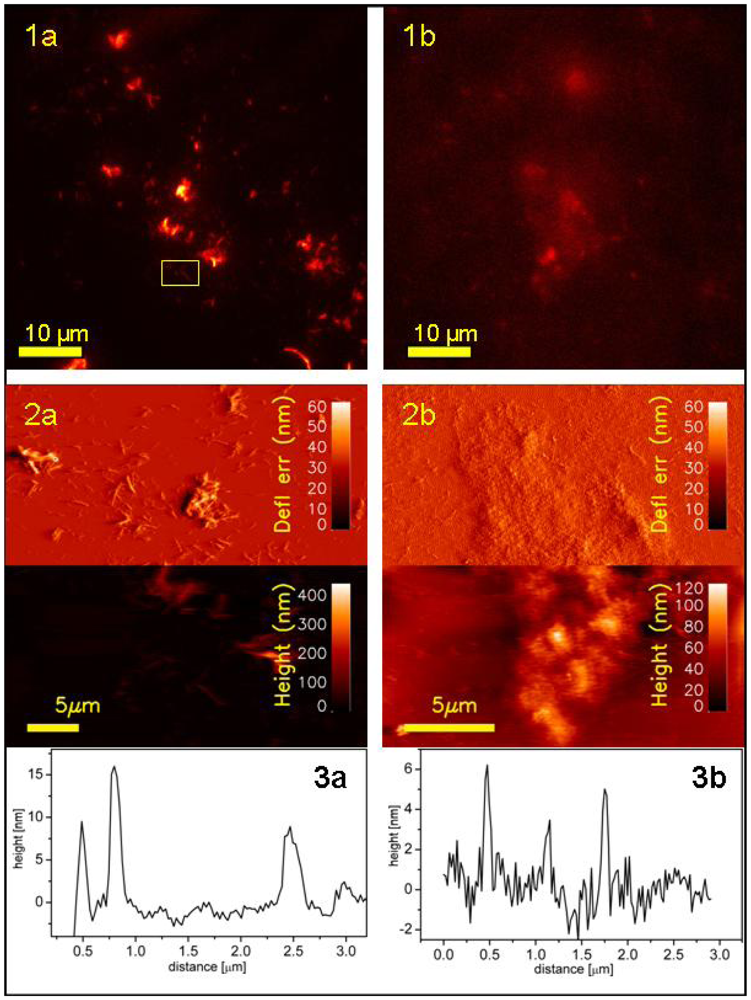 Ijms 13 01461f7 1024