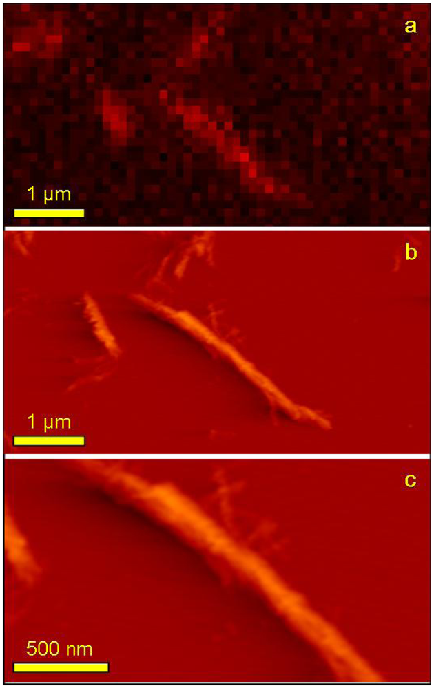 Ijms 13 01461f8 1024